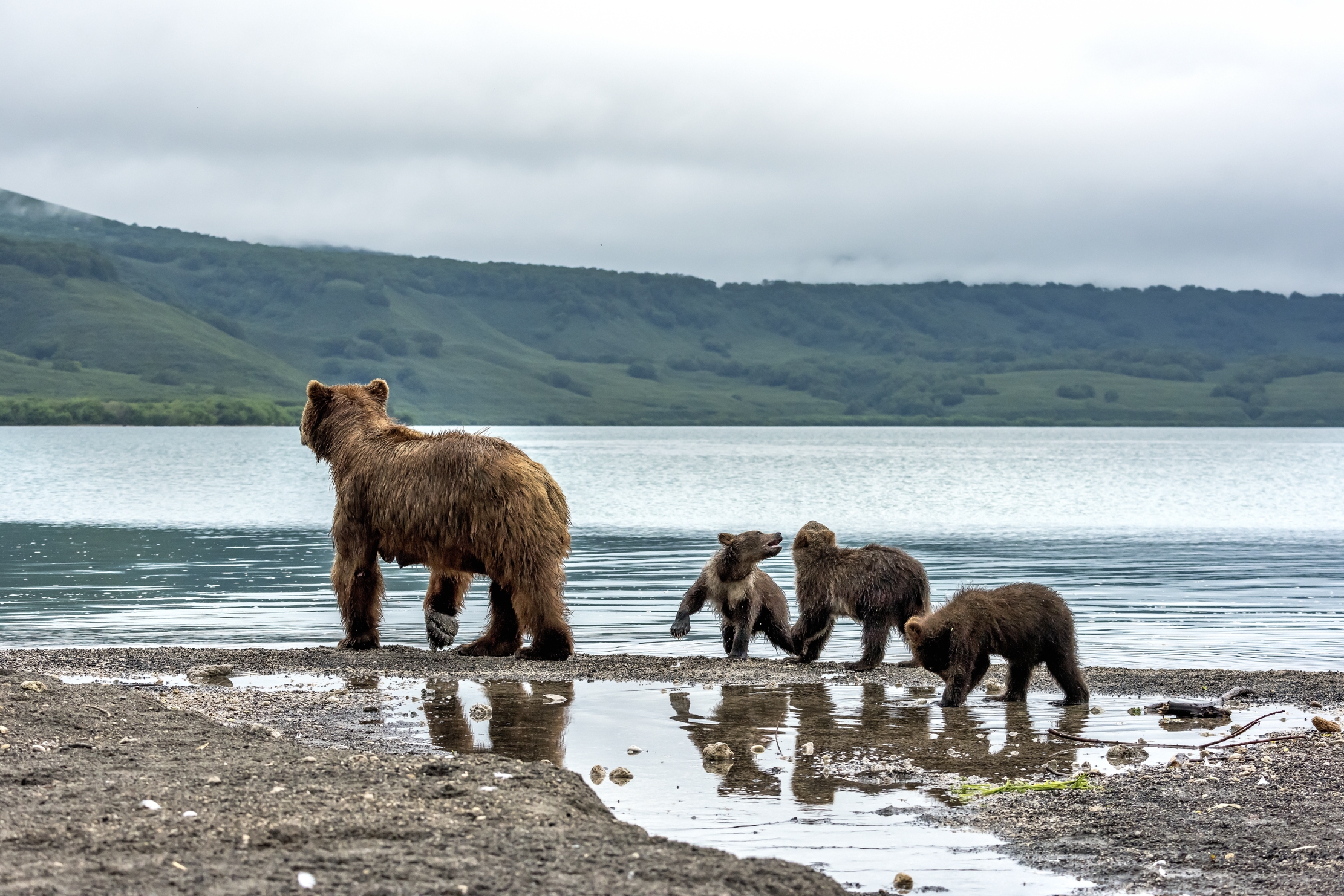 Kamchatka 2016 - Kurile lake