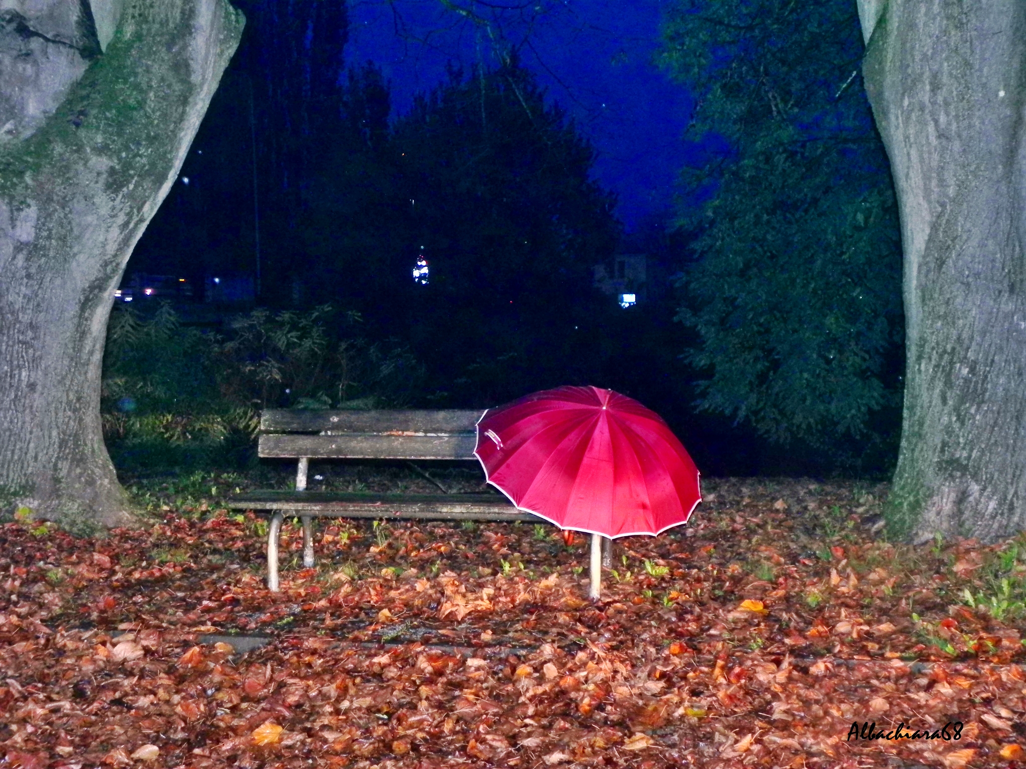 L'ombrello dimenticato..