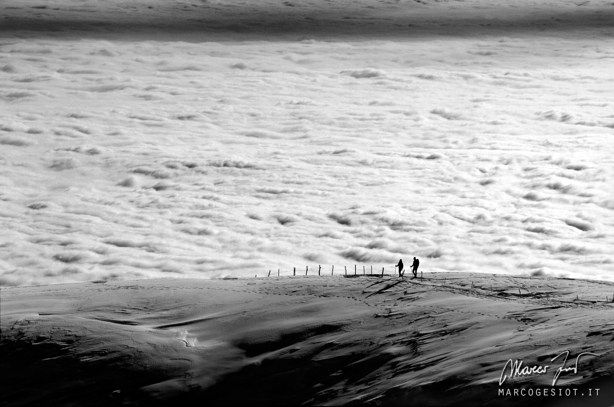 lunar delightful natural