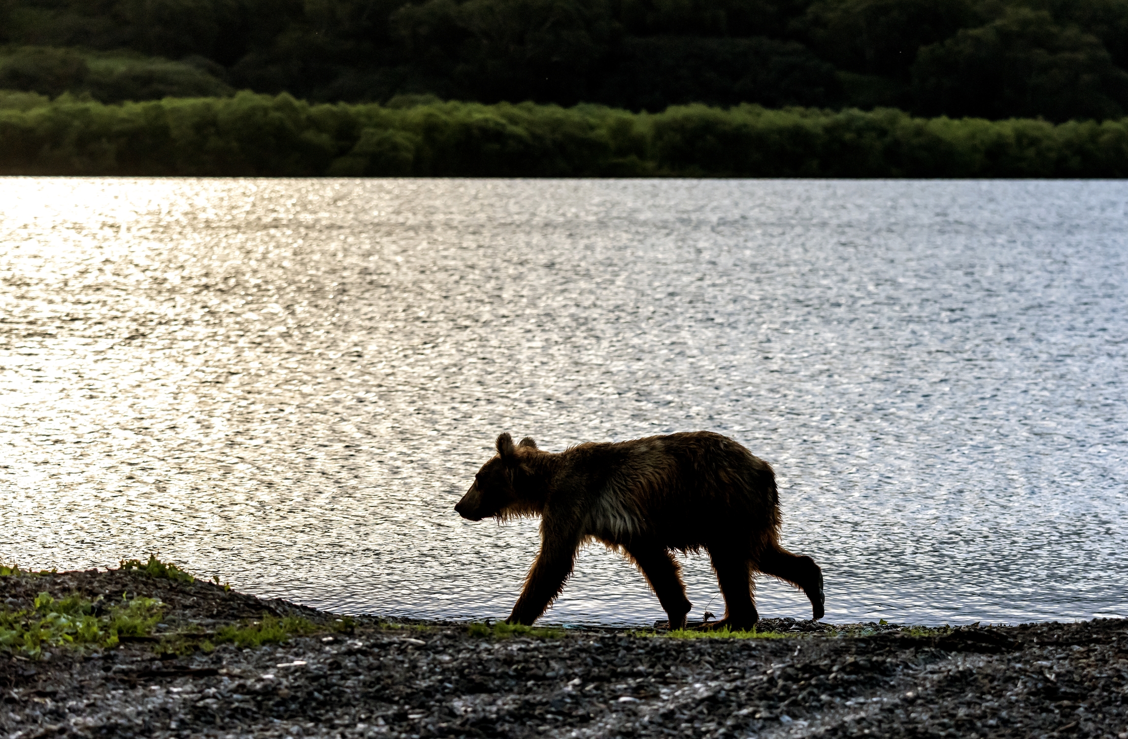 Kamchatka 2016 - Tramonto