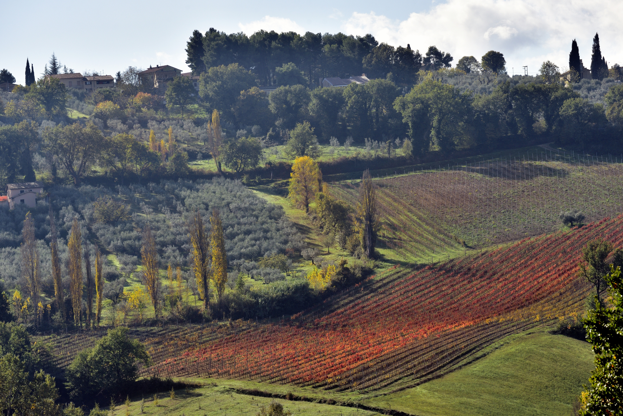 L'Umbria del vino - Montefalco