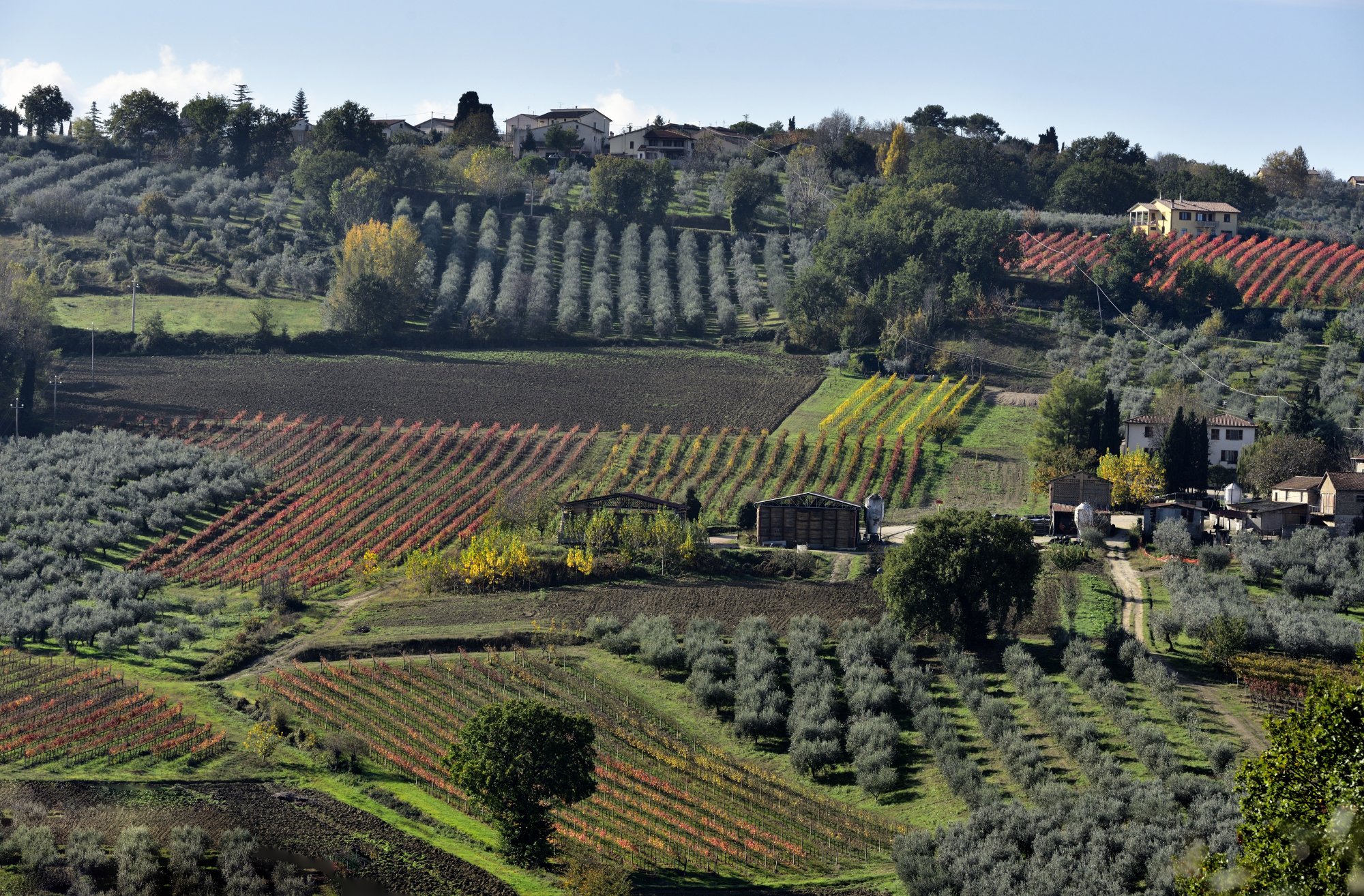 L'Umbria del vino - Montefalco