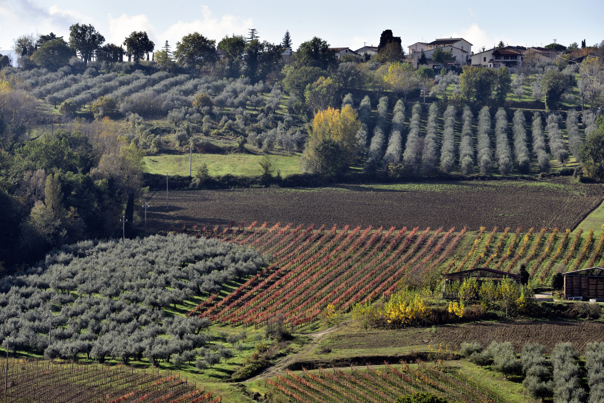 L'Umbria del vino - Montefalco