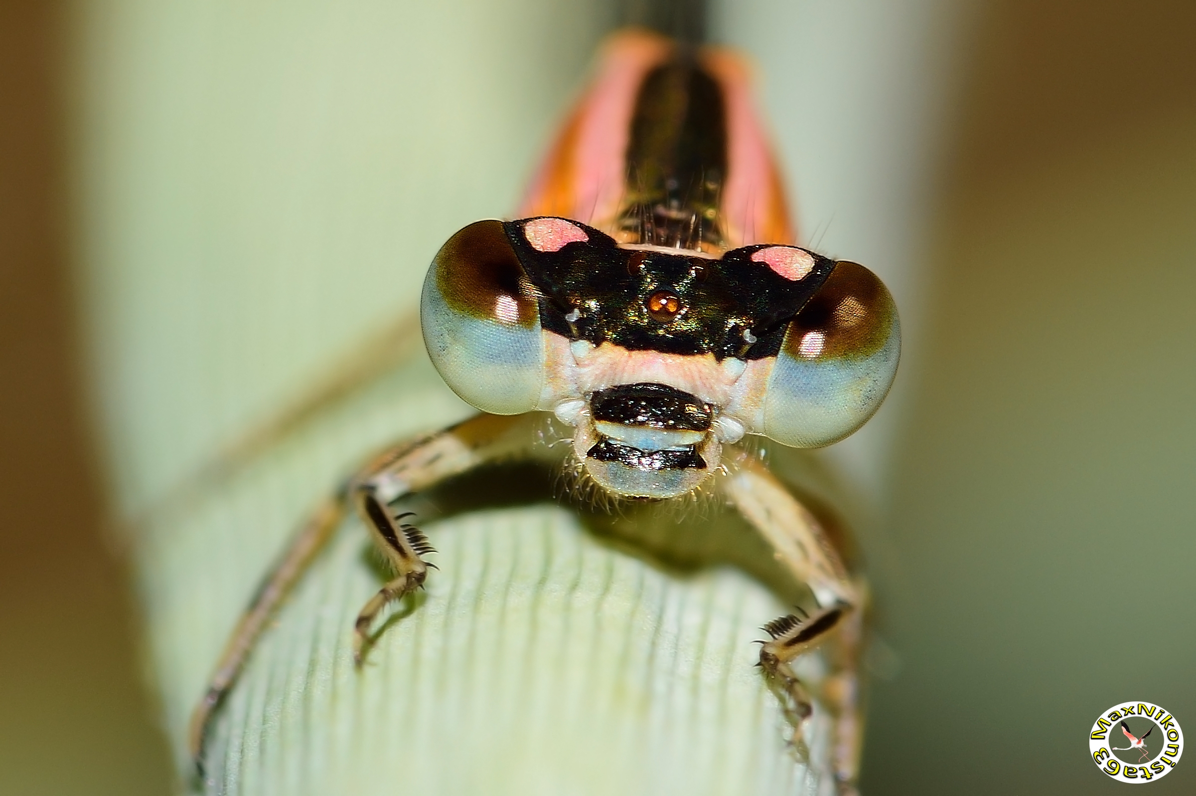 What are you looking at?