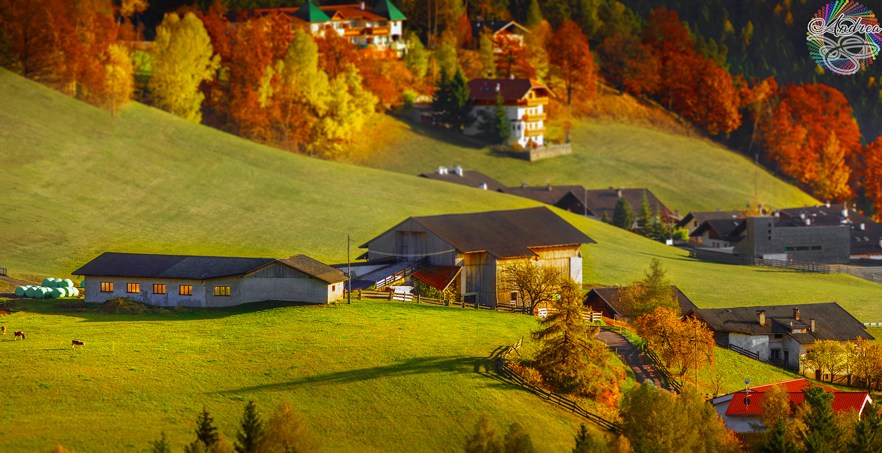 Autumn in miniature.