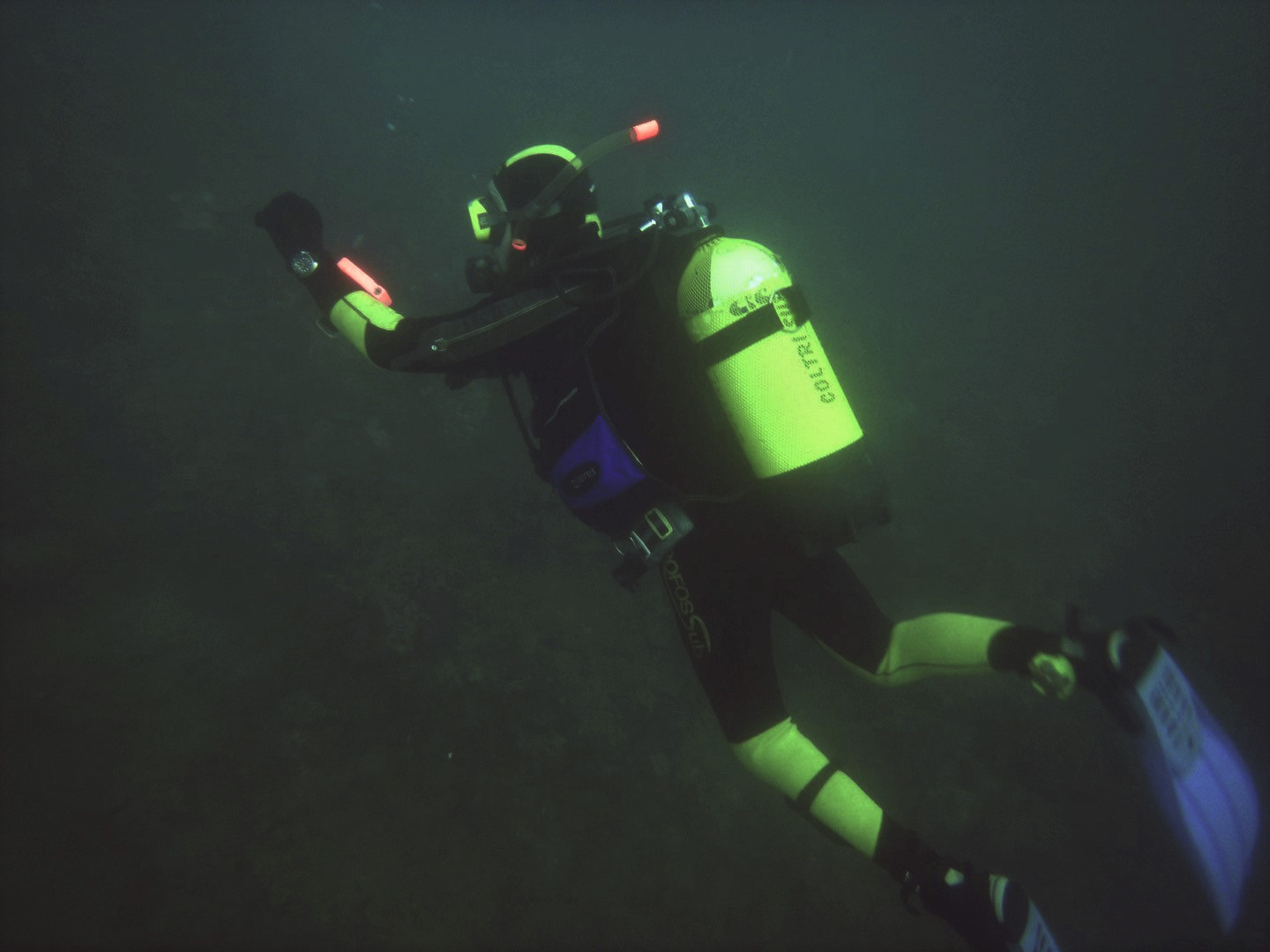 stingray "one off" !!!