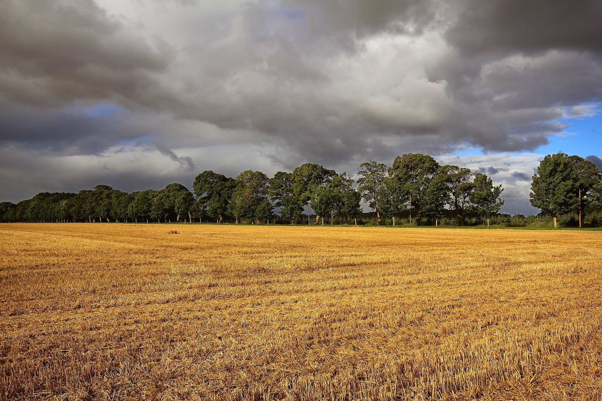 The typical landscape of the island of Rügen