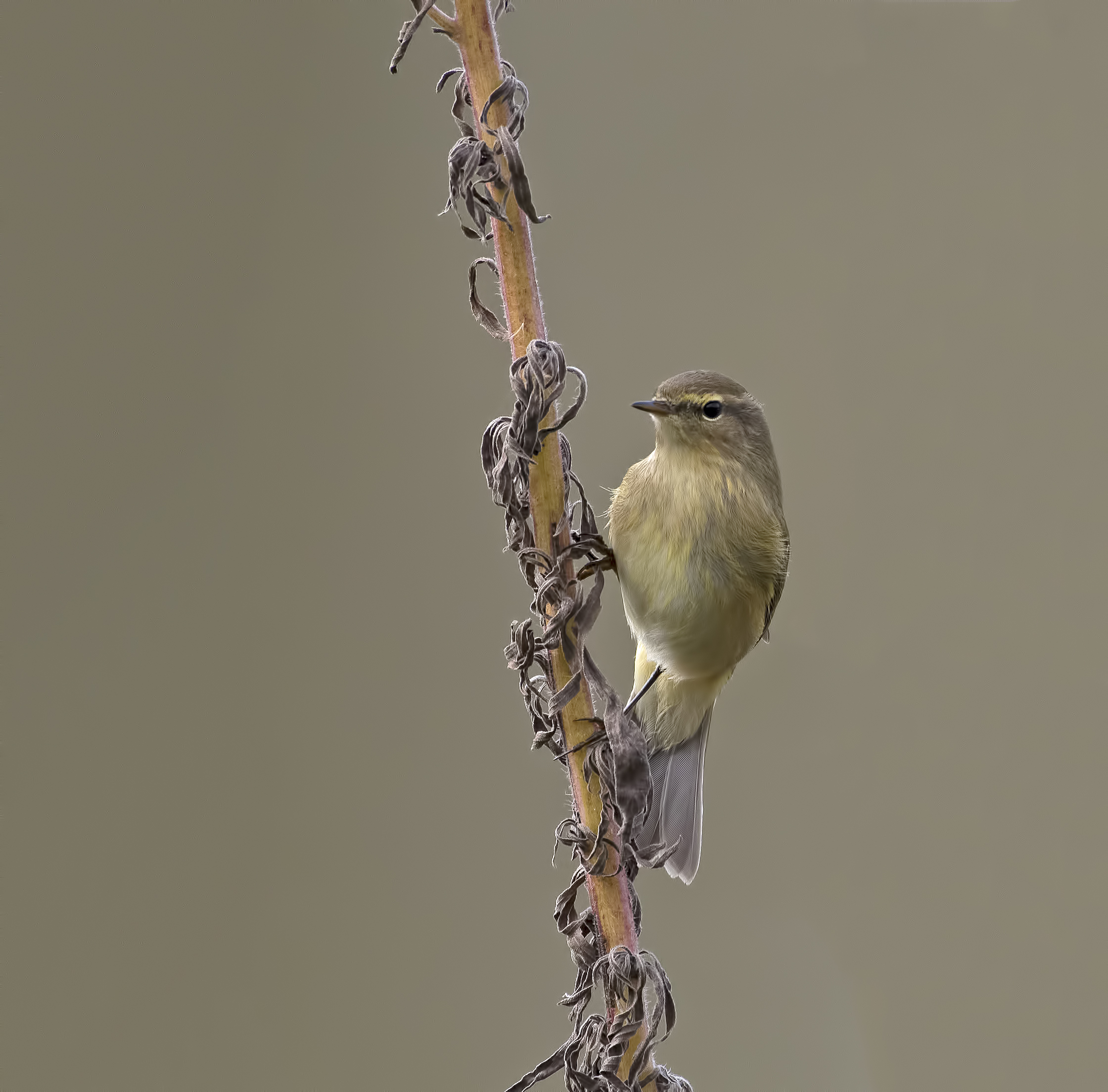 Con il sole alle spalle!