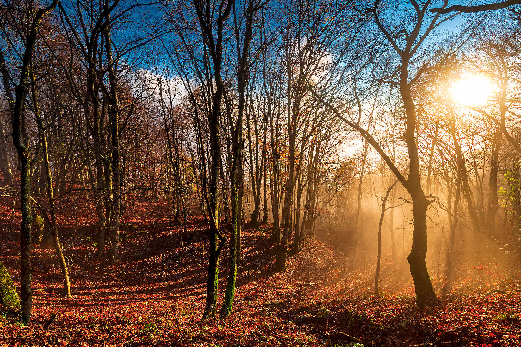 Colori sul Terminillo