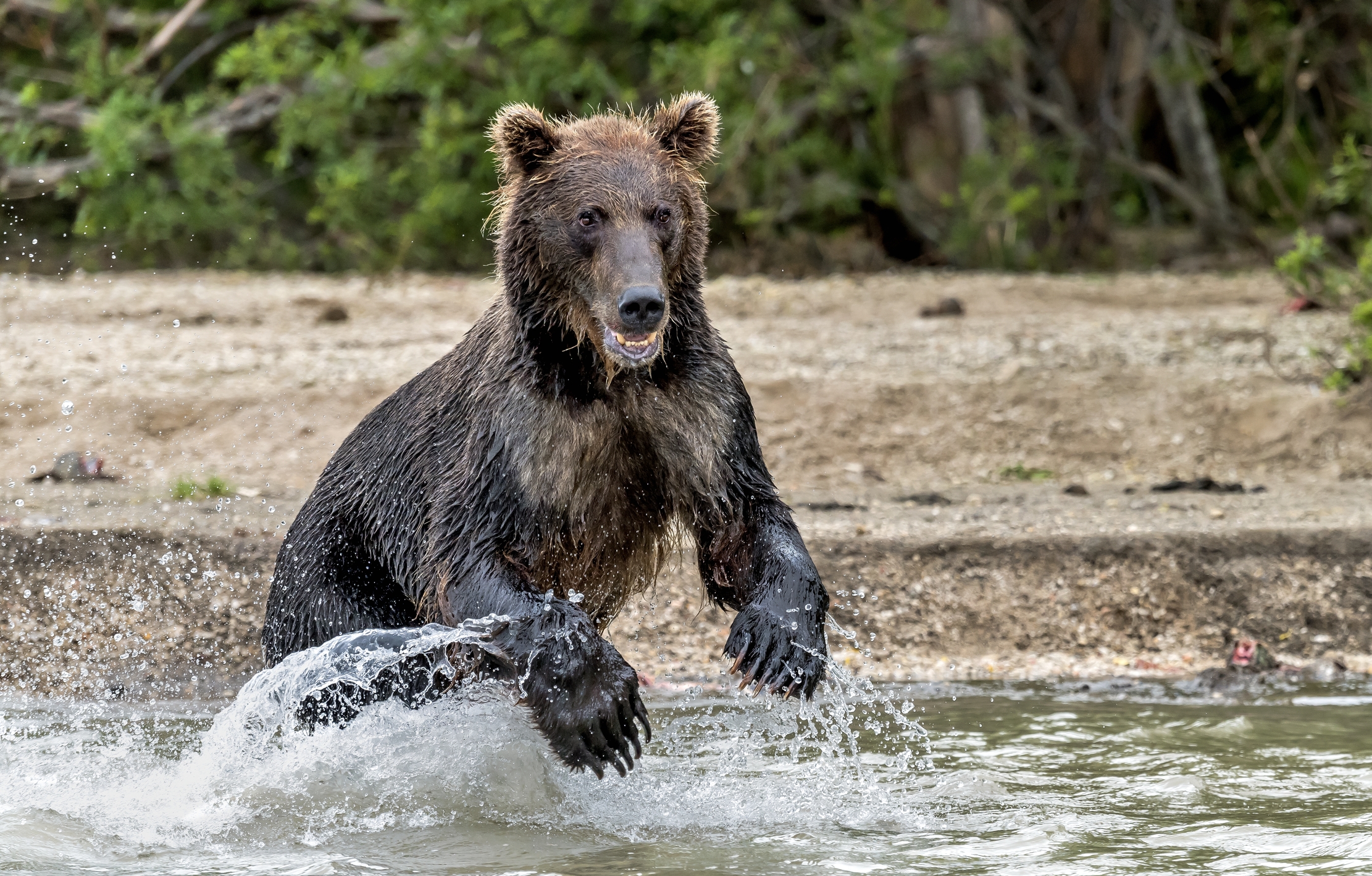 Kamchatka 2016 - Fishing