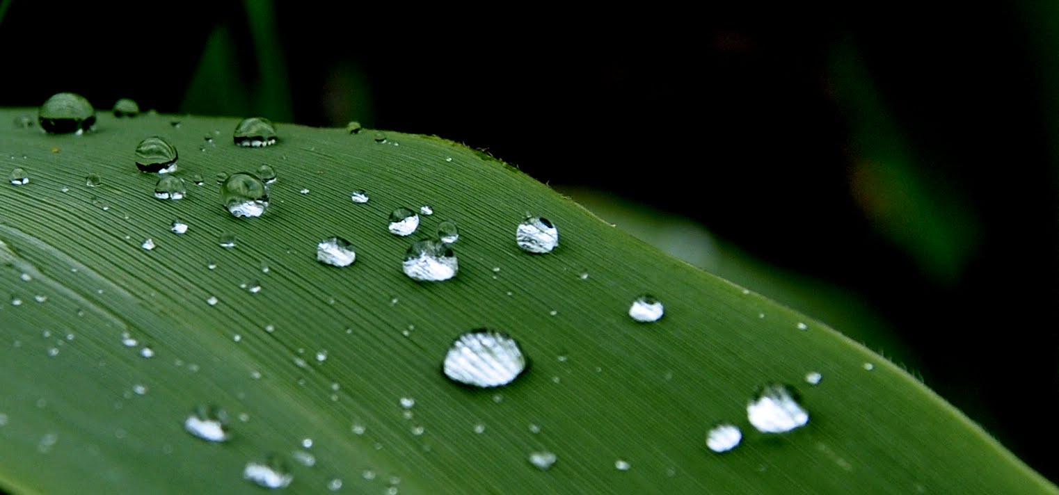 Gocce in caduta libera...