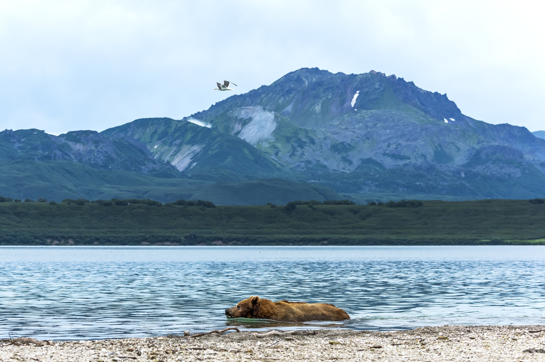Kamchatka 2016 - Kurile lake