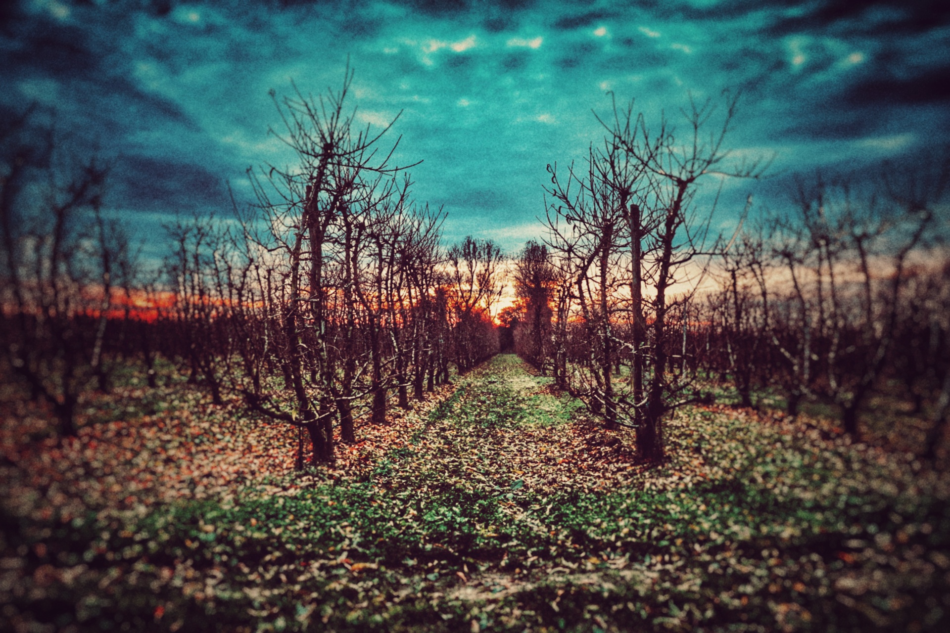 ..il mondo è stato creato per essere ricreato..