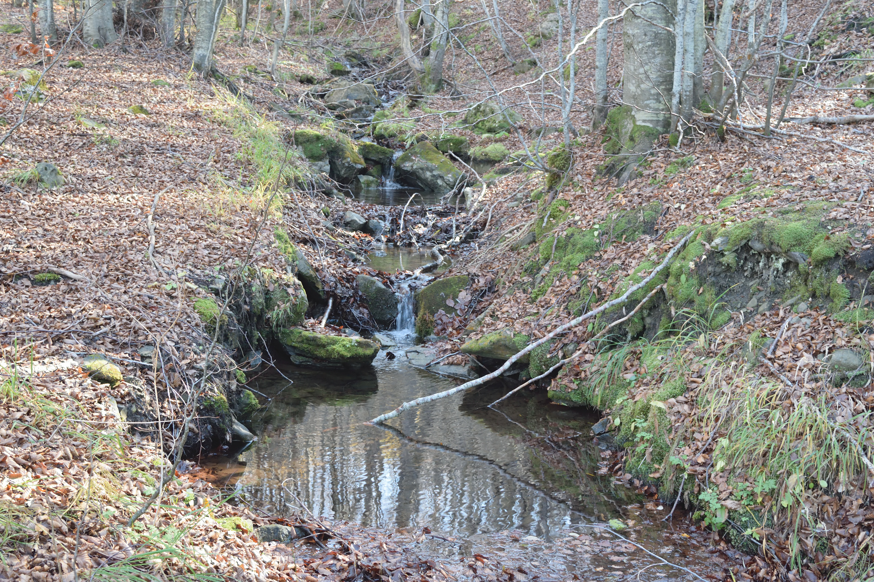 Stream in autumn