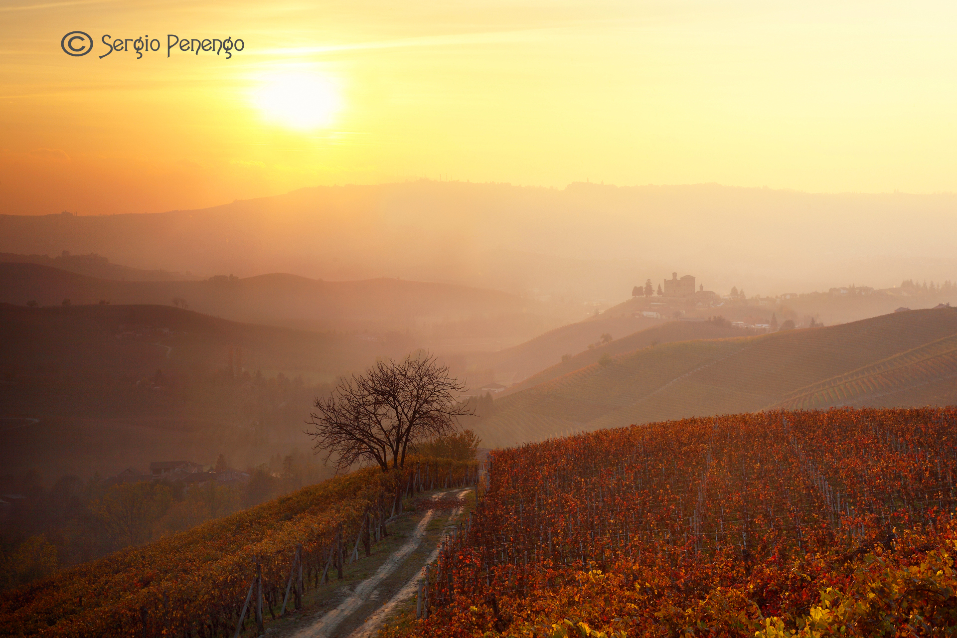 "Colors and Autumn Lights"