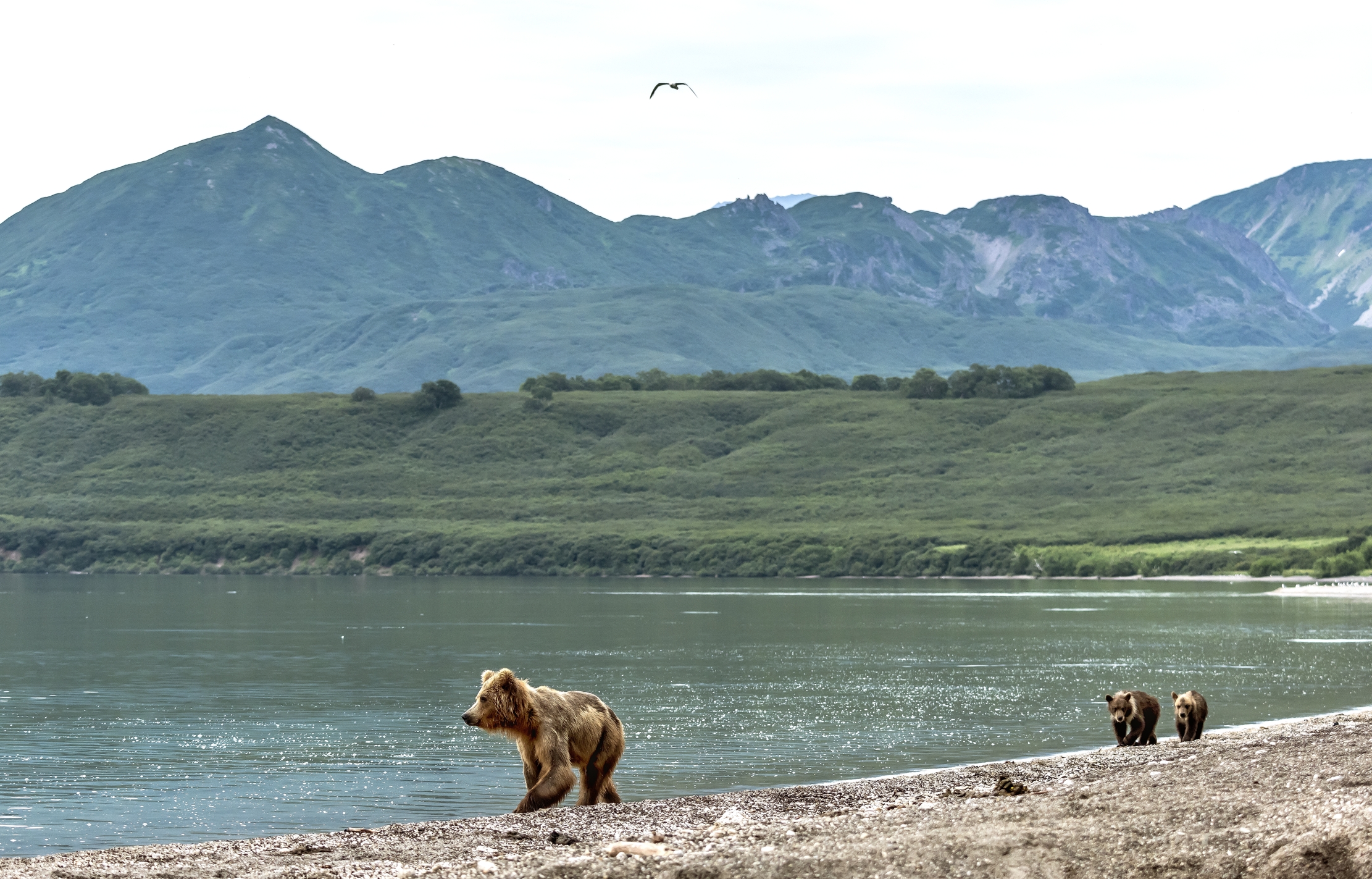 Kamchatka 2016 - Kurile lake
