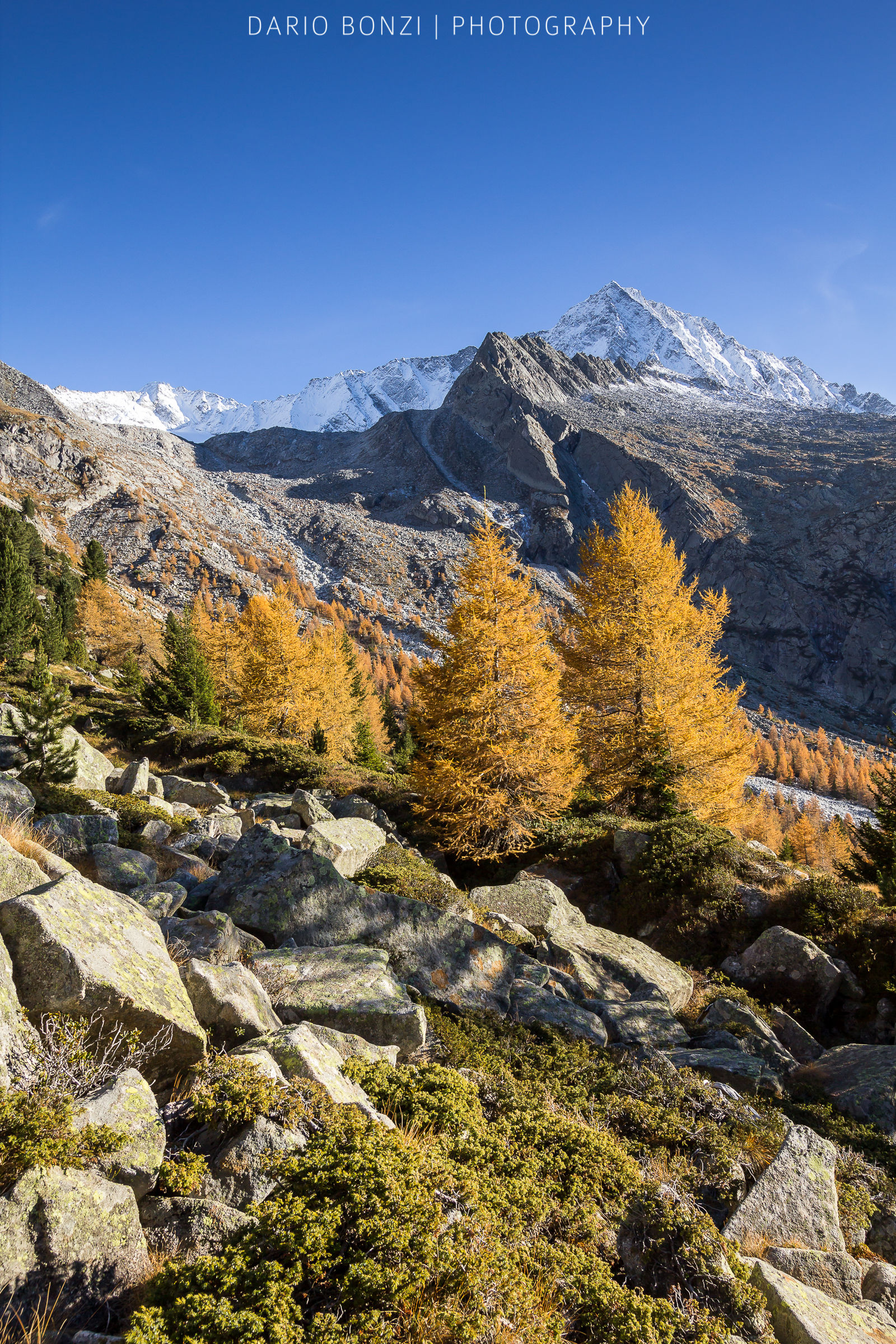 Autunno ai piedi dell'Adamello