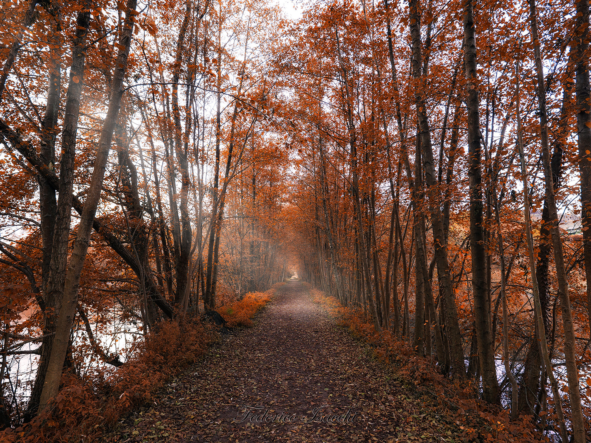 Il primo raggio sul cammino