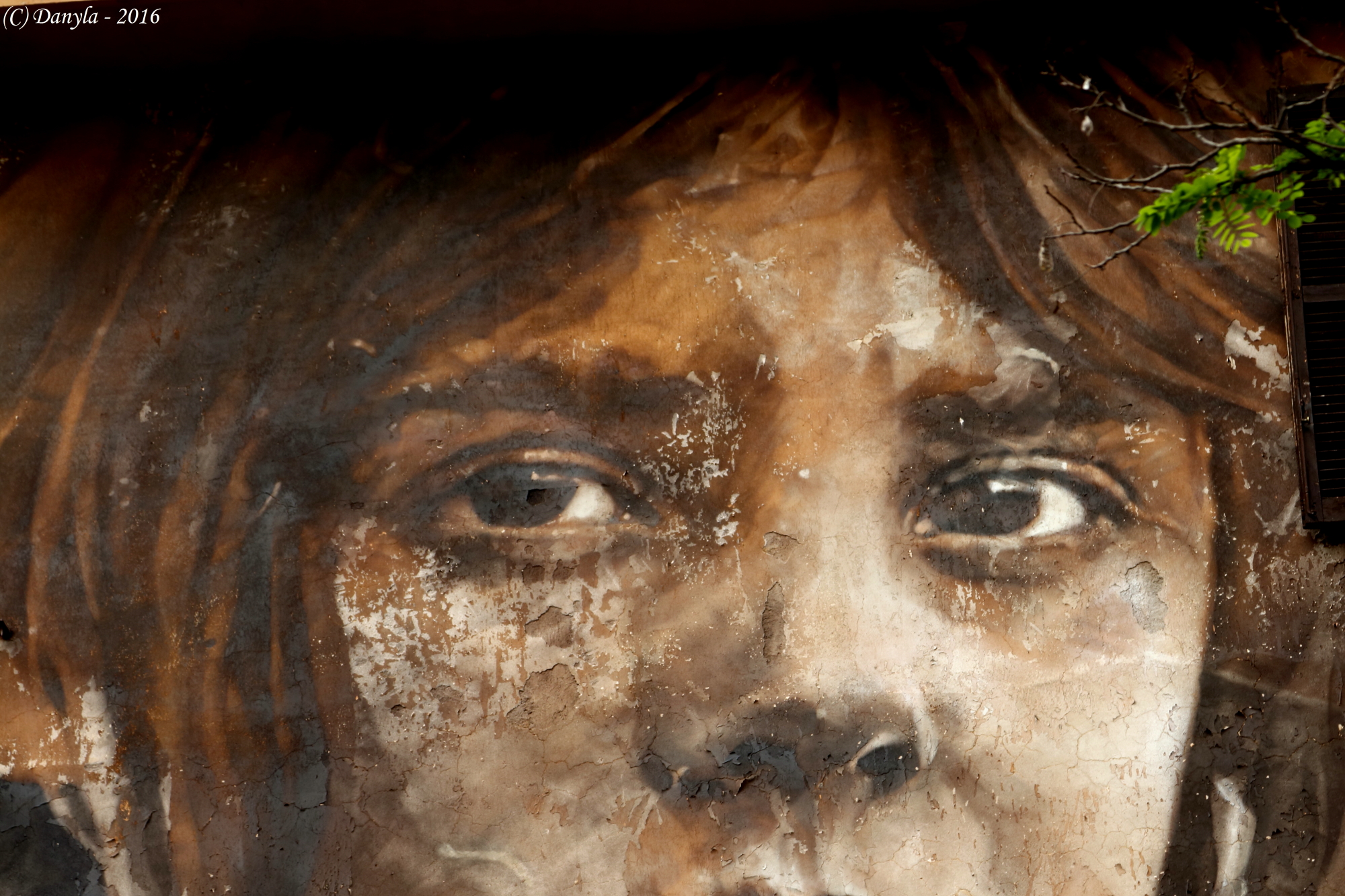 lo sguardo più triste