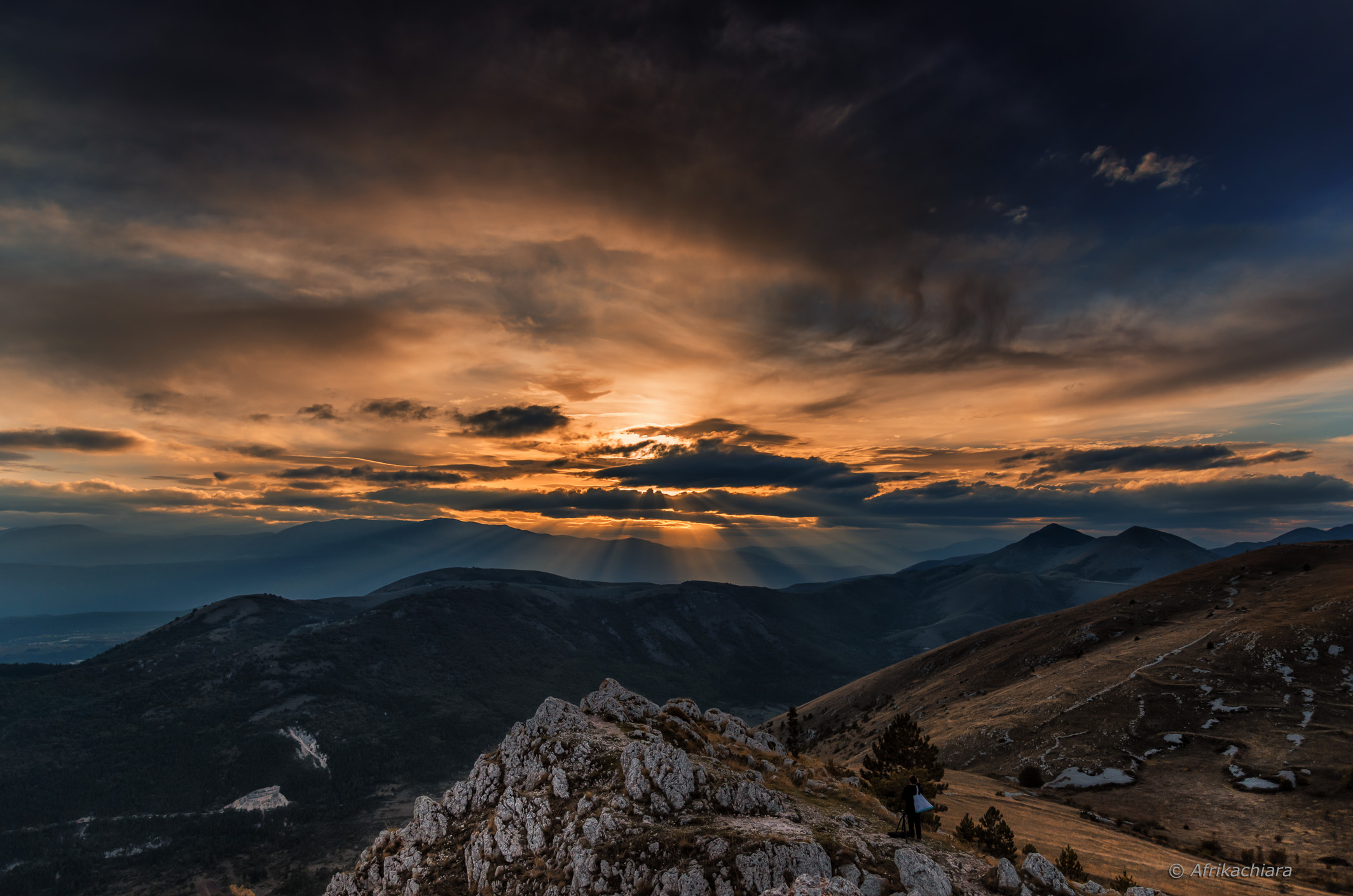 ... It is hard to find in the dawn dusk ...