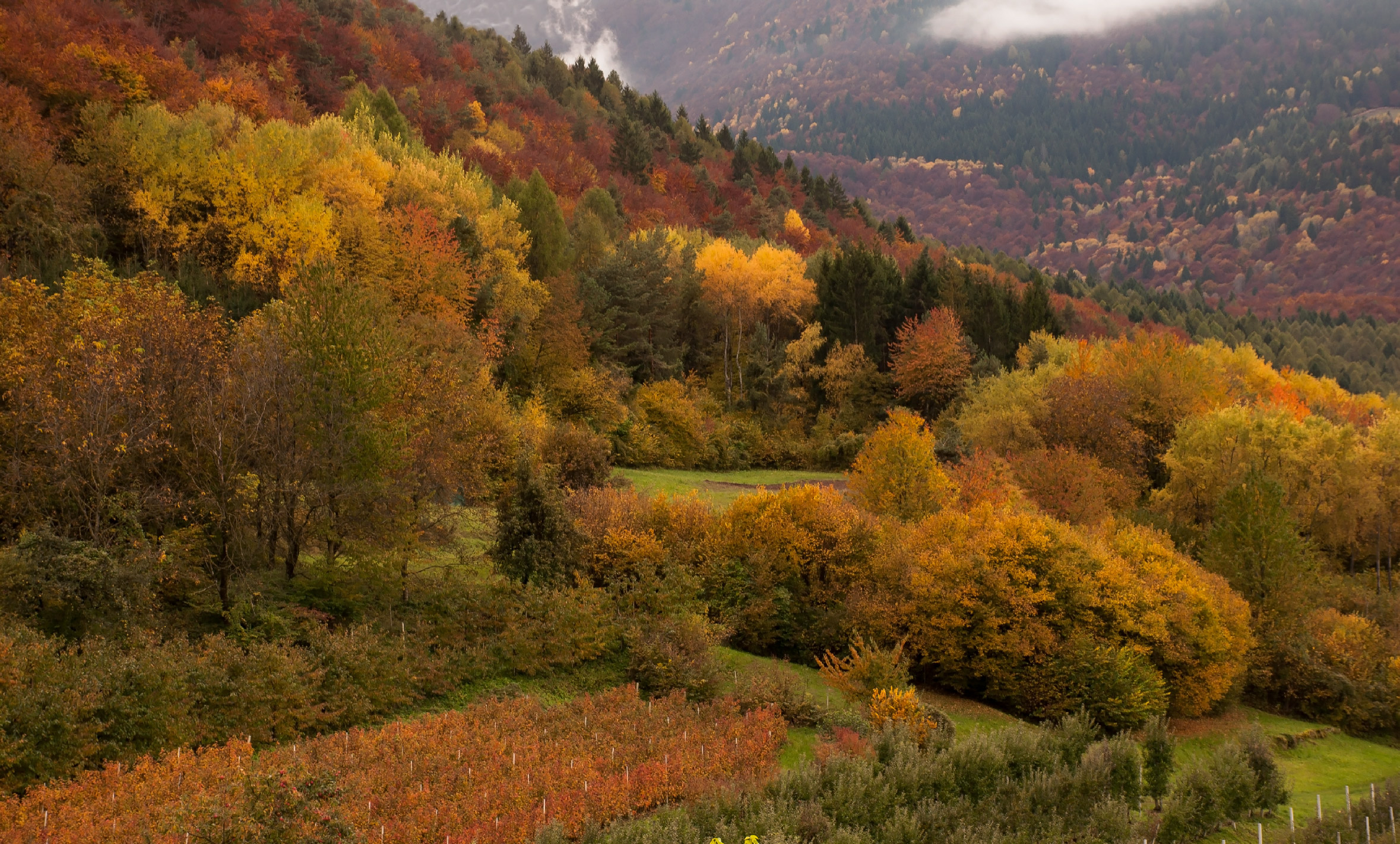 Antologia autunnale 2