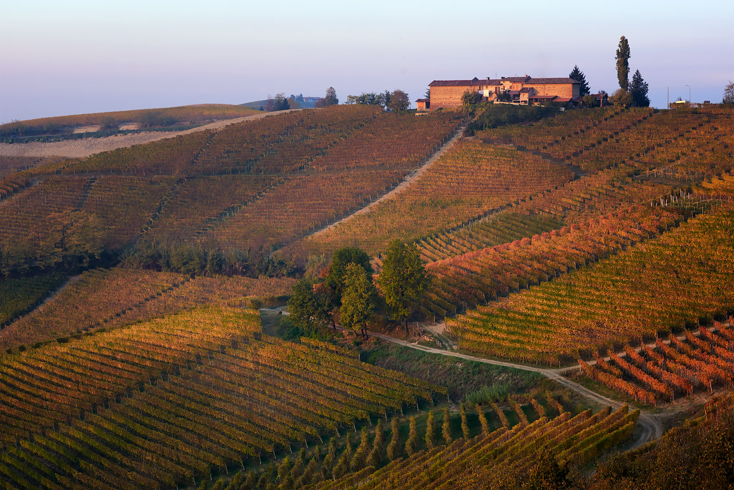 Regolarità ed Eccezioni