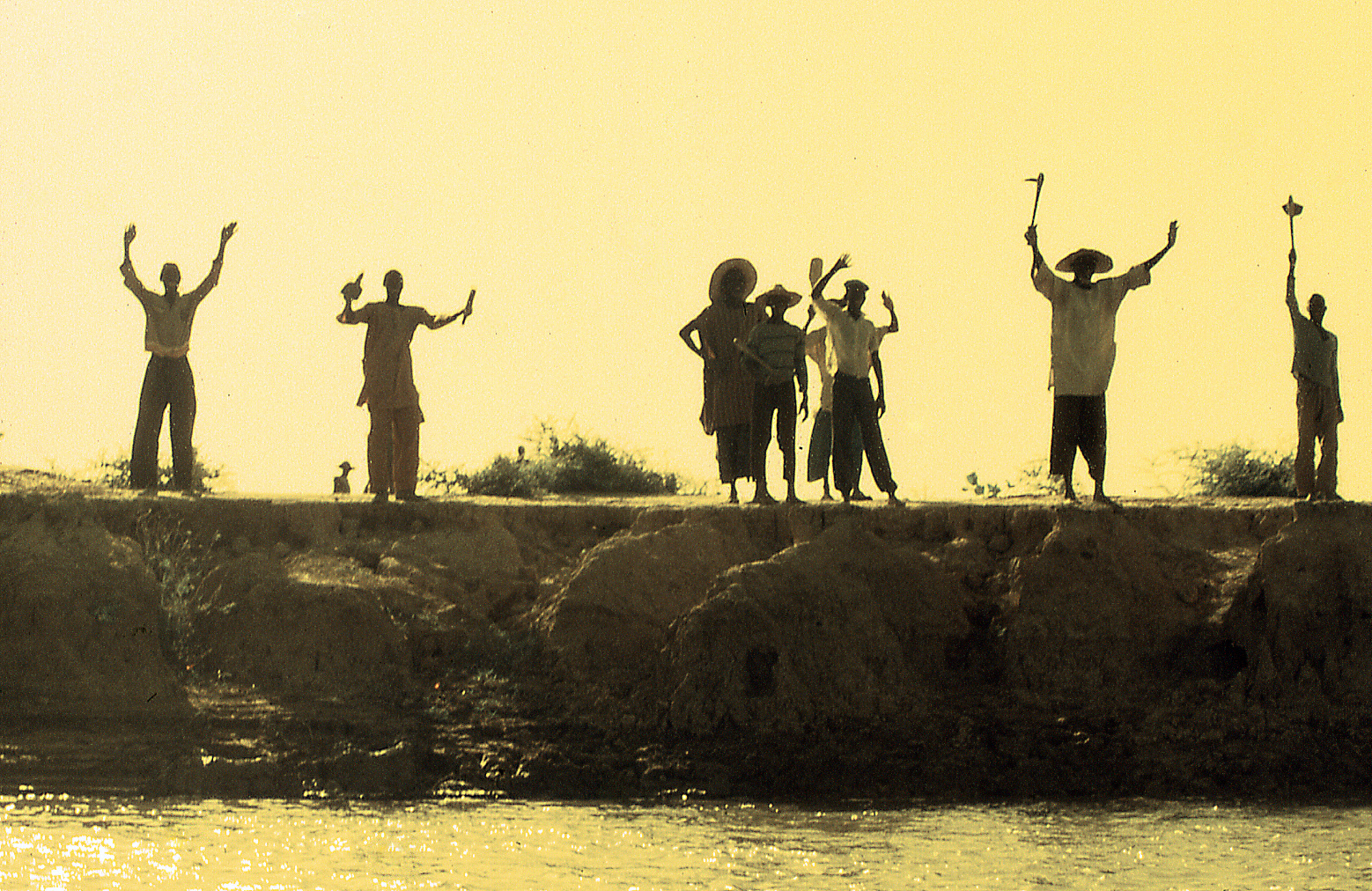 734 - Backlit unsuccessful ........