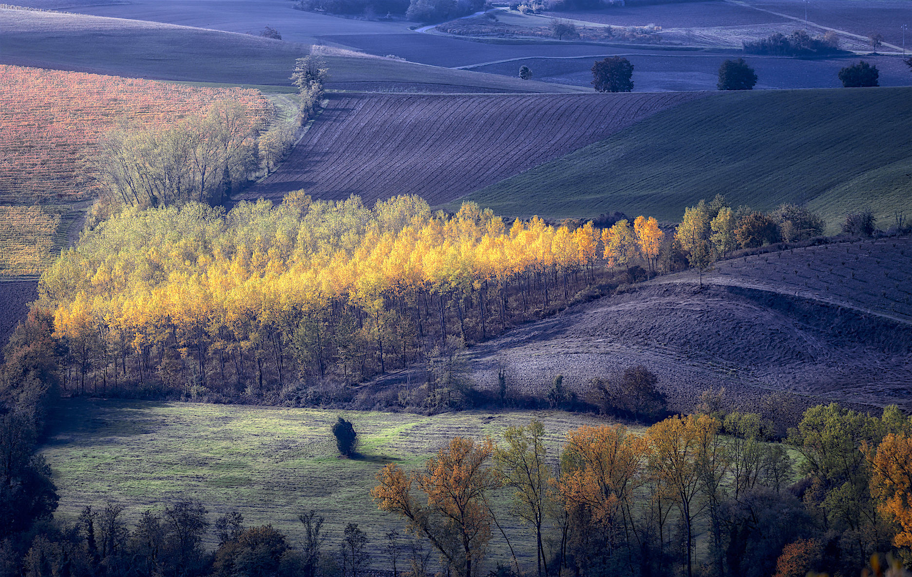 Color in Monferrato 2 °