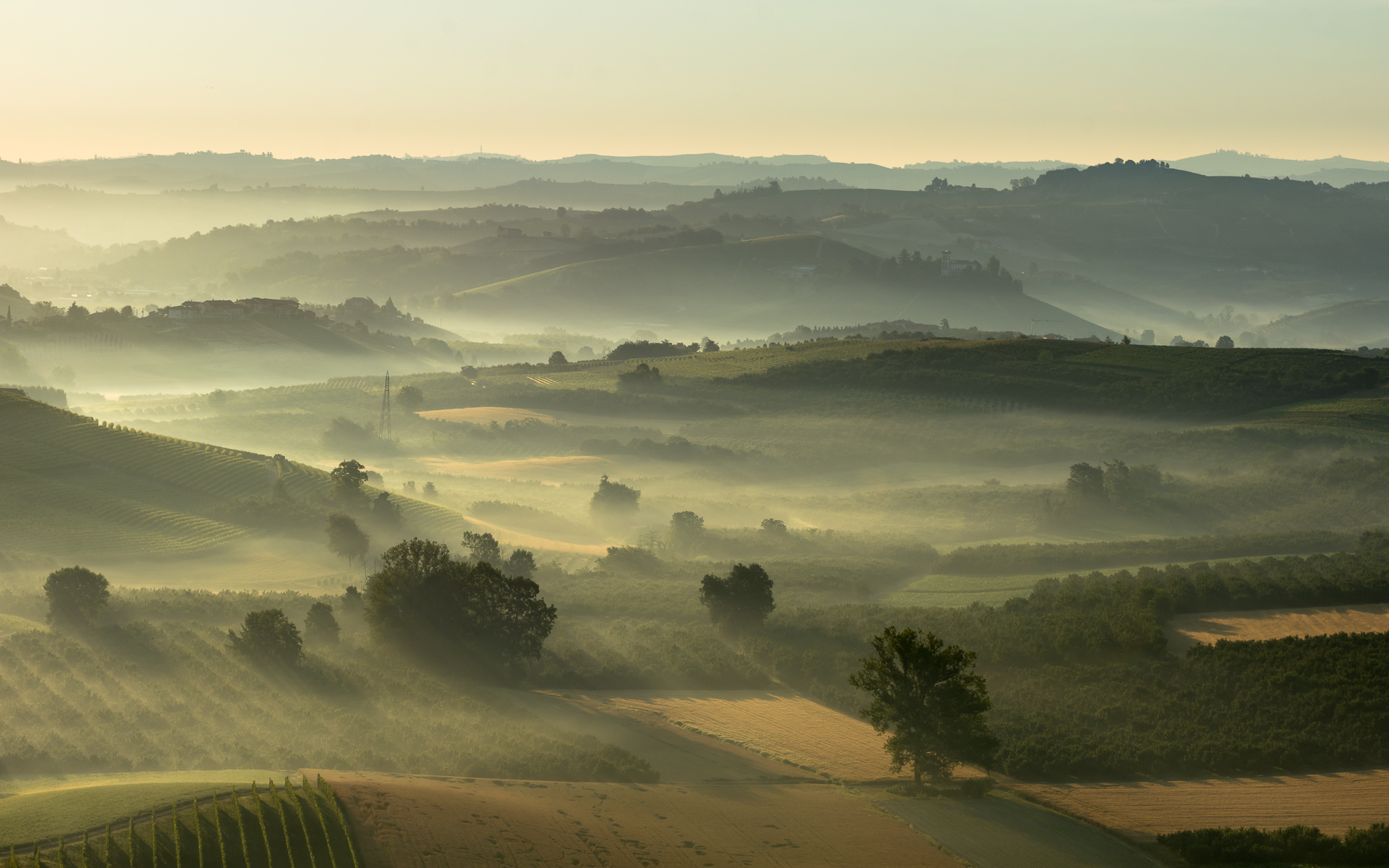 Sunrise on the Langhe