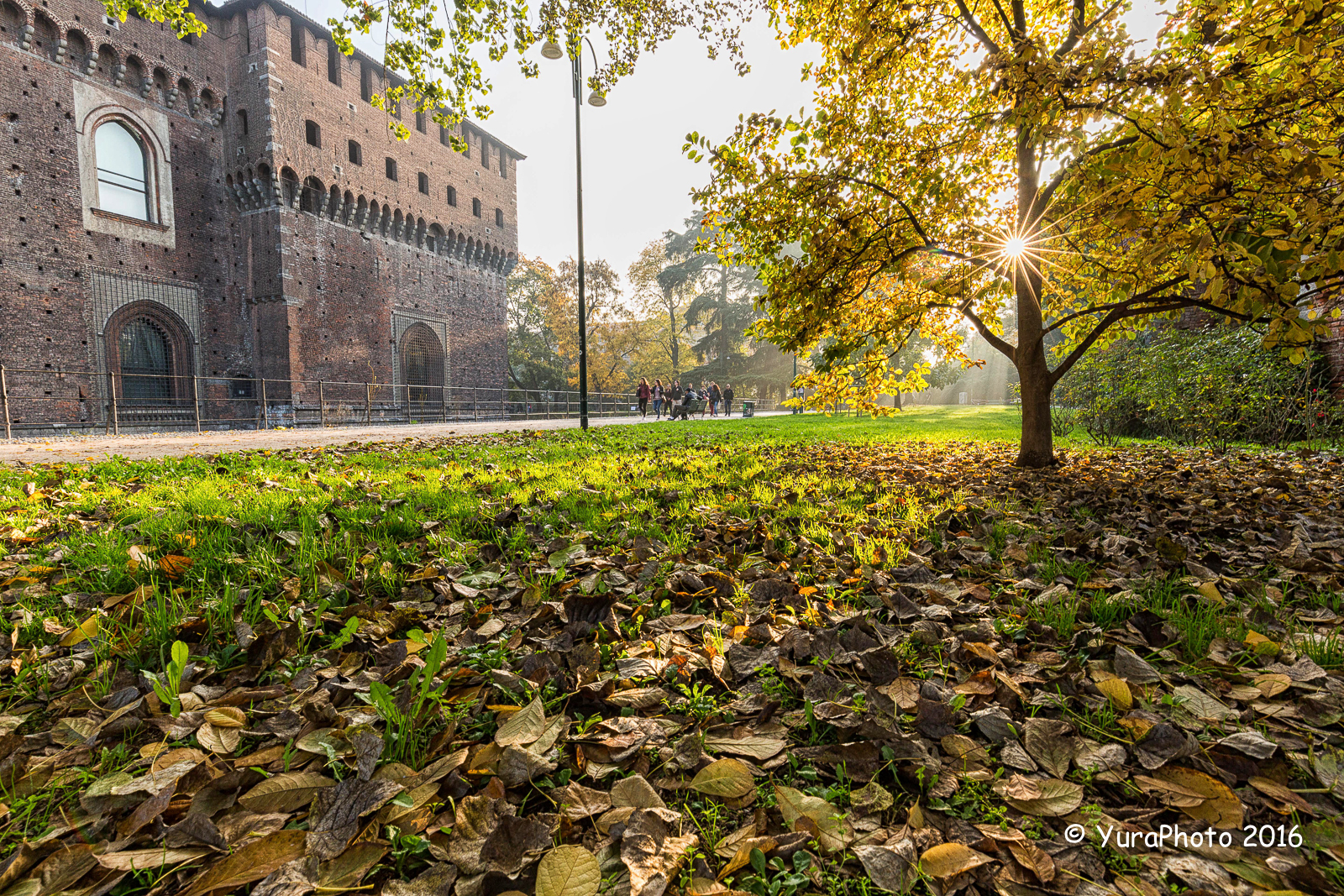 Controluce d' autunno