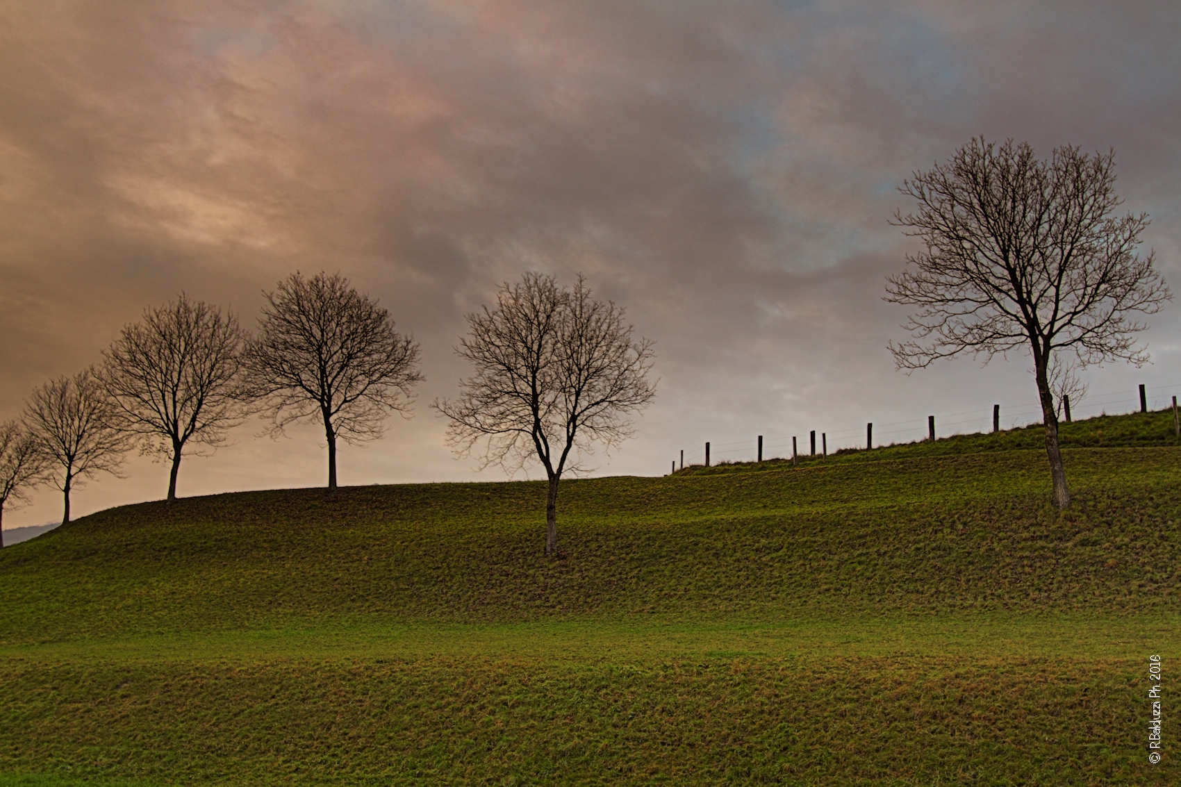 Alberi in autunno