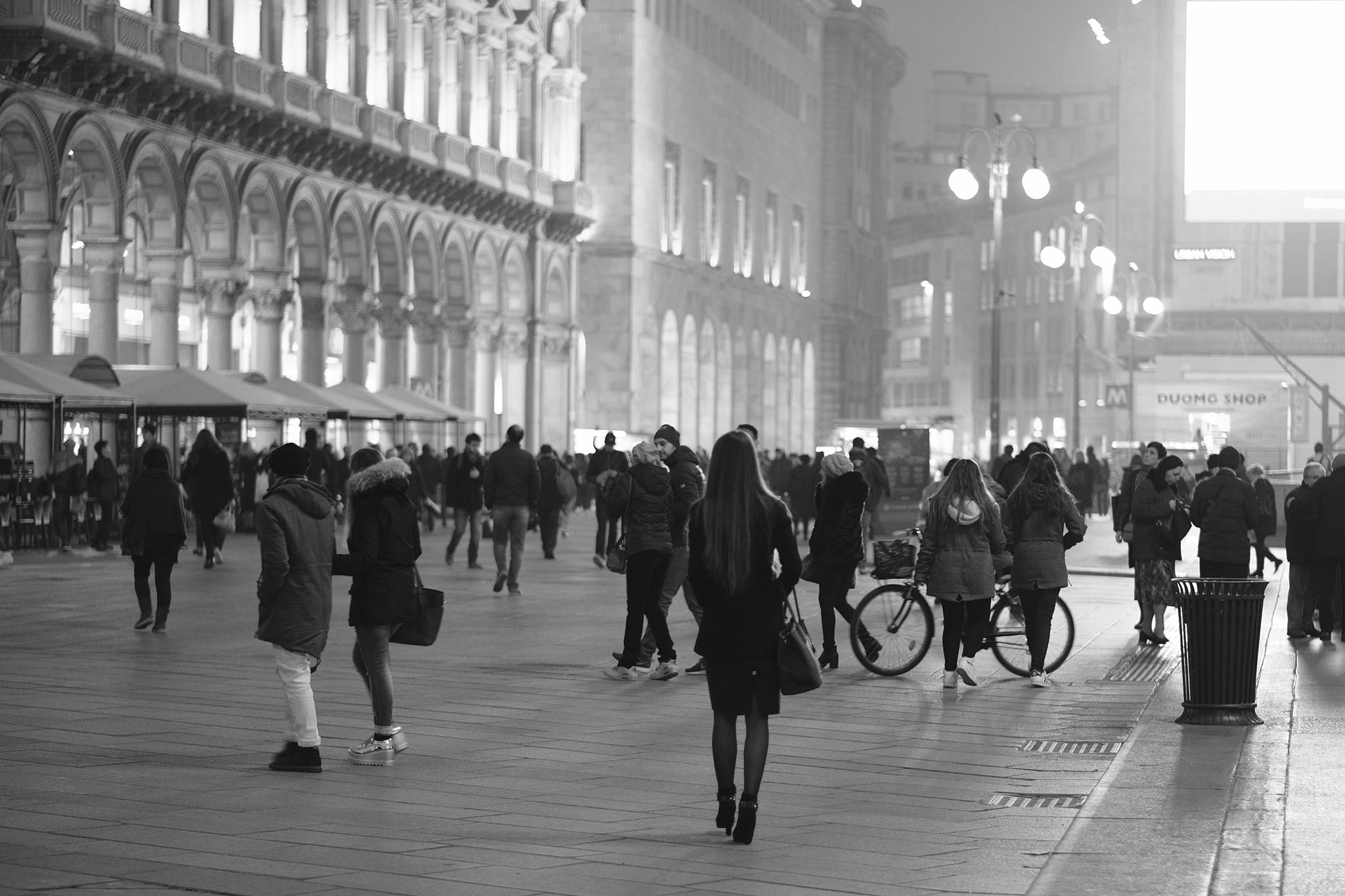 Mezo alone in the crowd