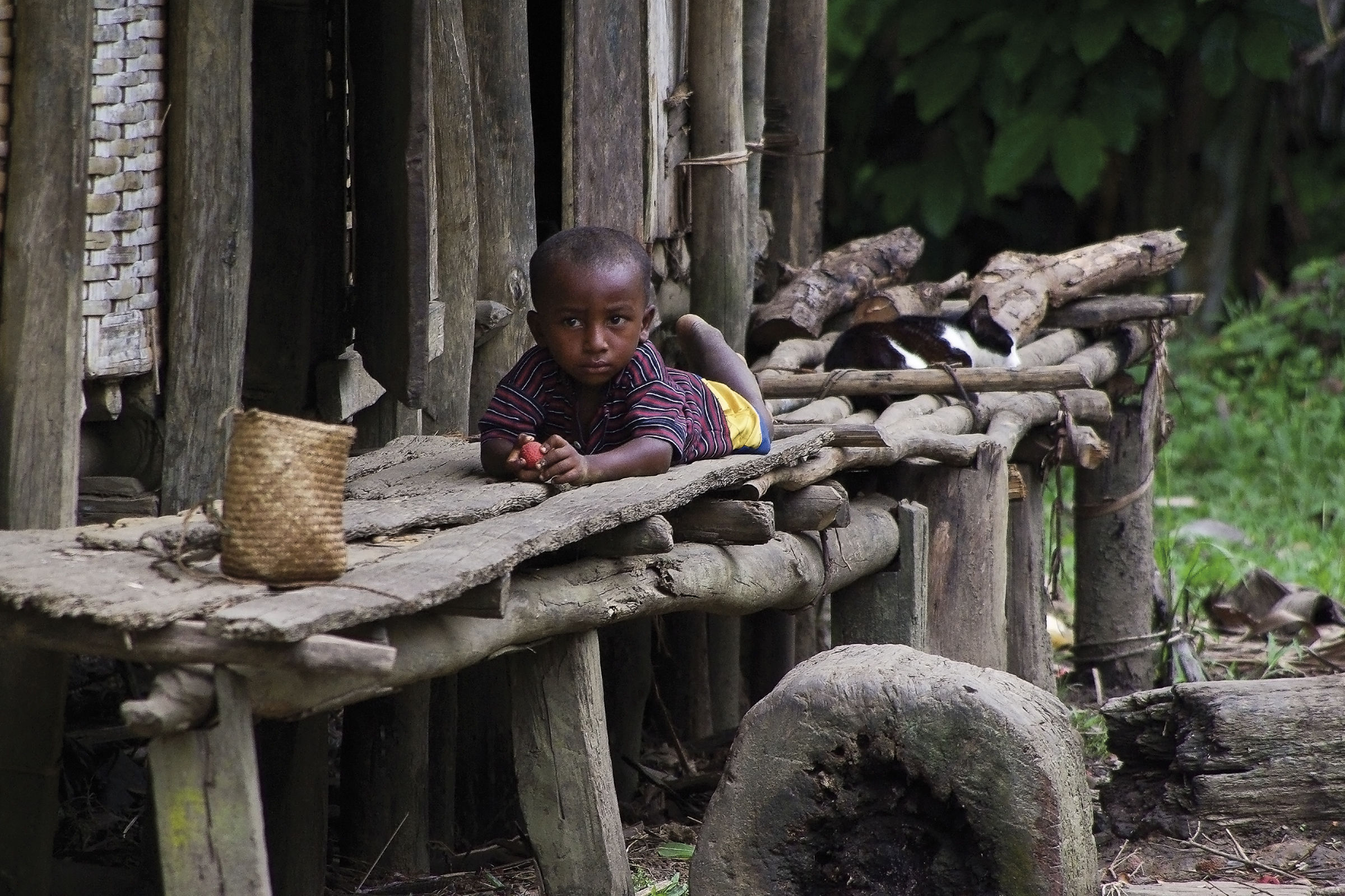 Kitten ... Pakambo, Madagascar