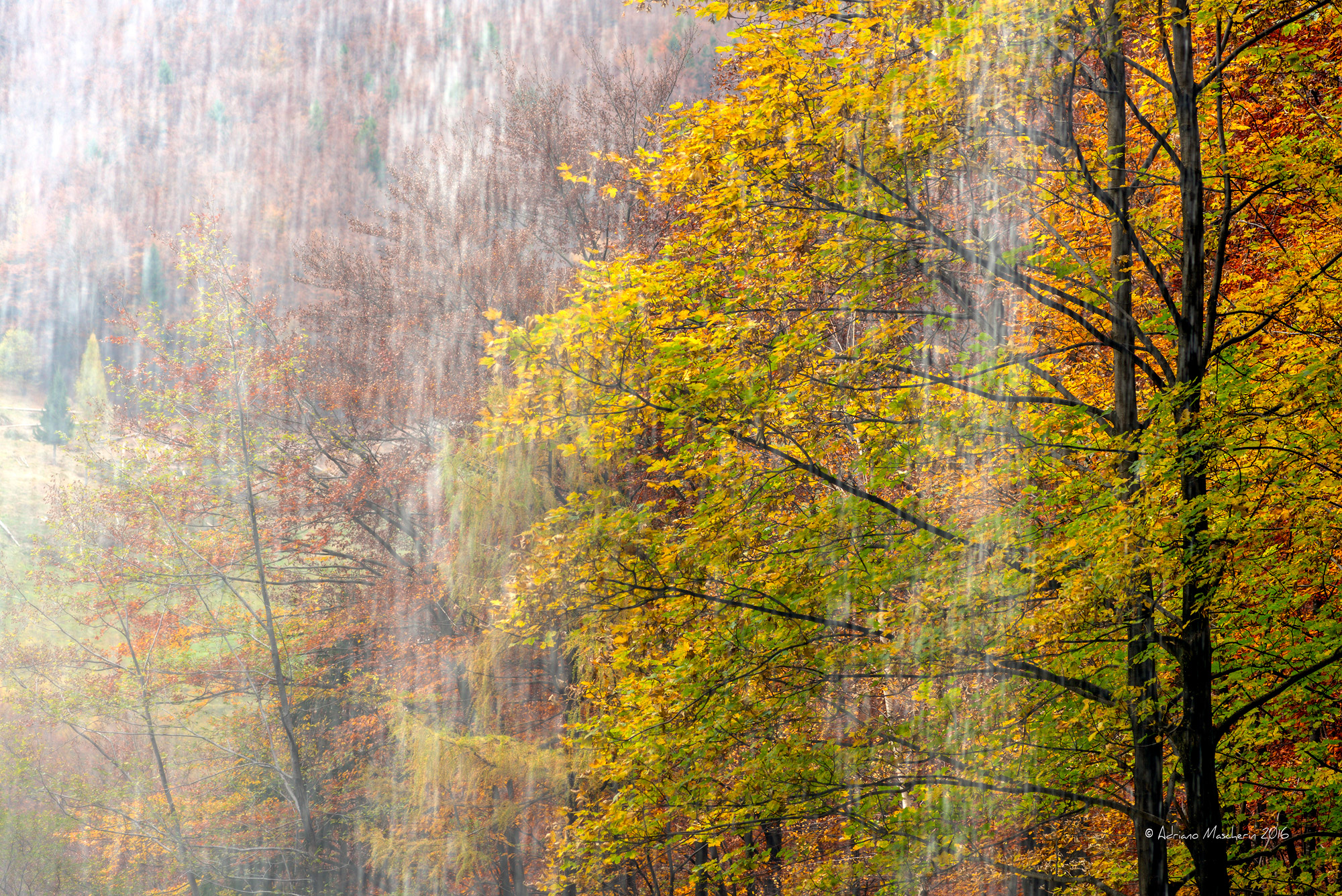 On autumn rain ......