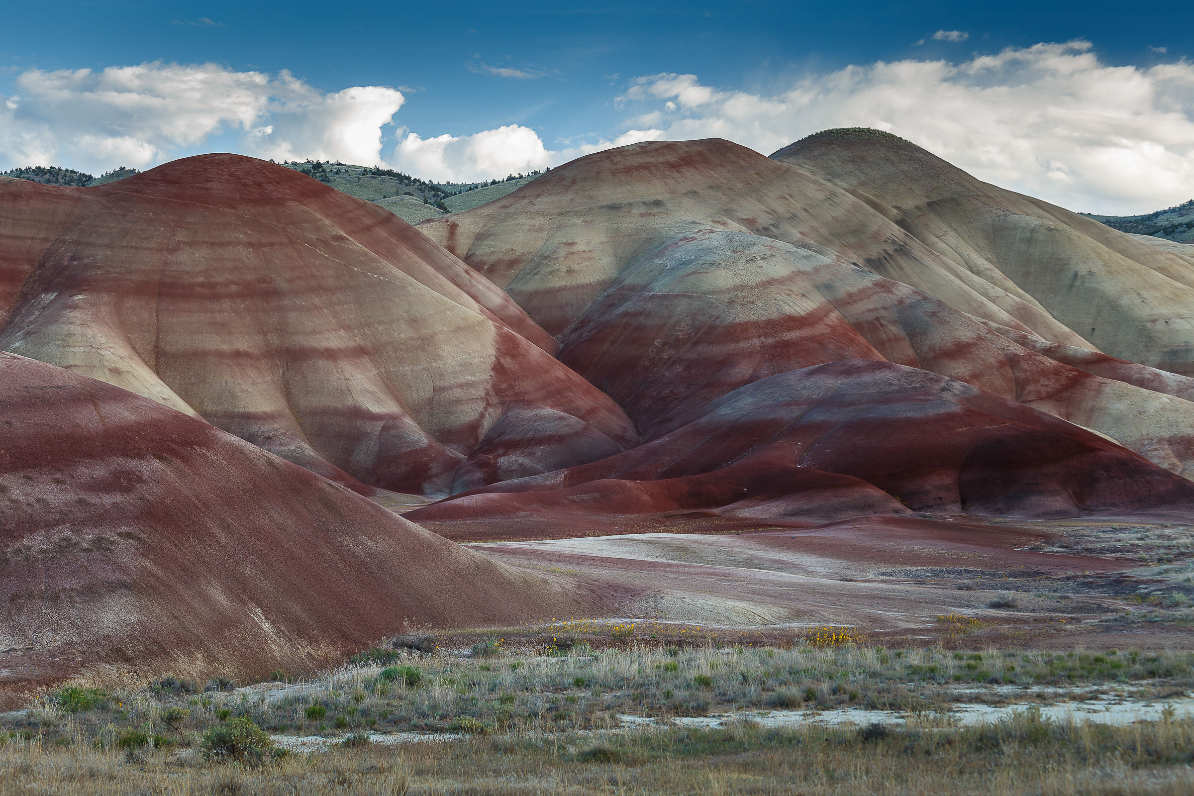 Painted Hills - OR