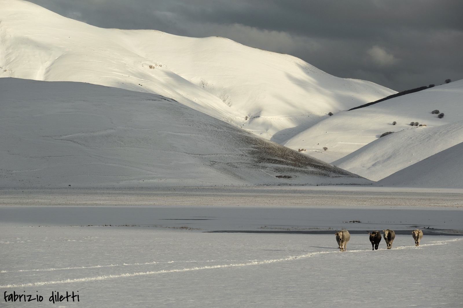 Castelluccio of Norcia in winter