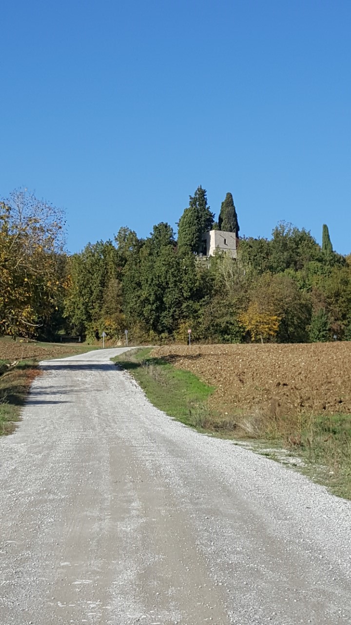 strada dell'Oasi