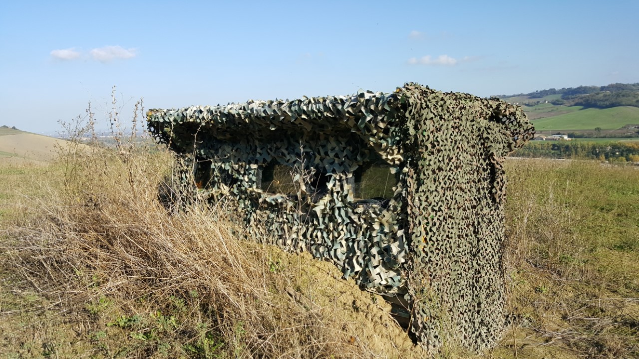 capanno passeriformi