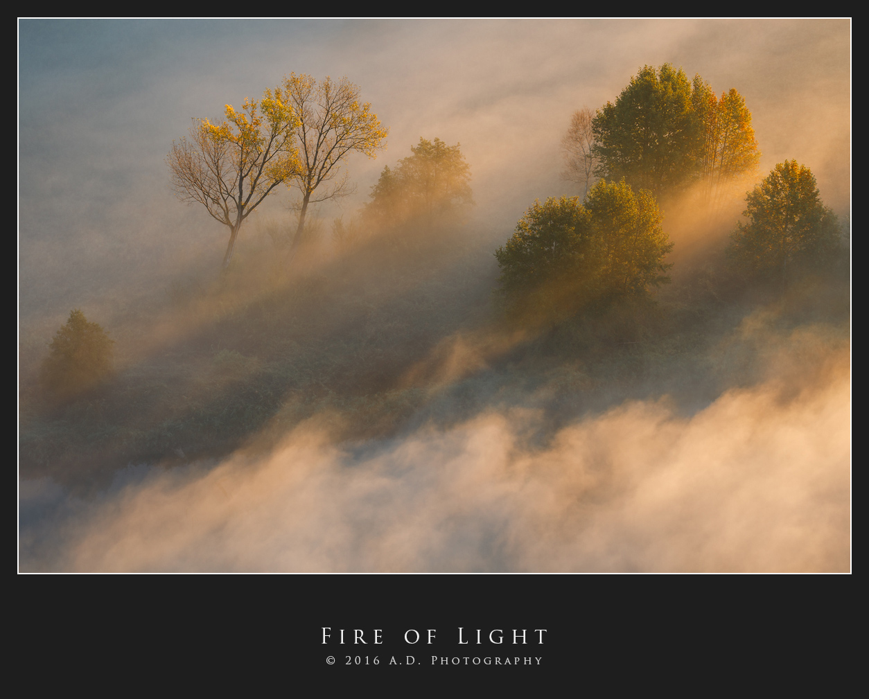 Fire of Light