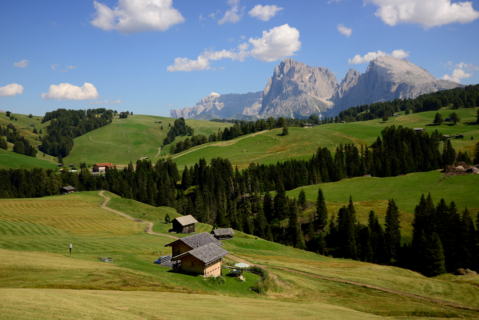 Verso l'Alpe (di Siusi)