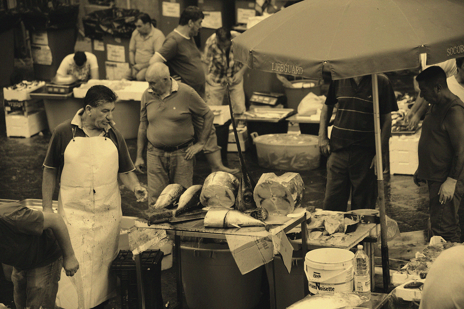 The fish market of Catania