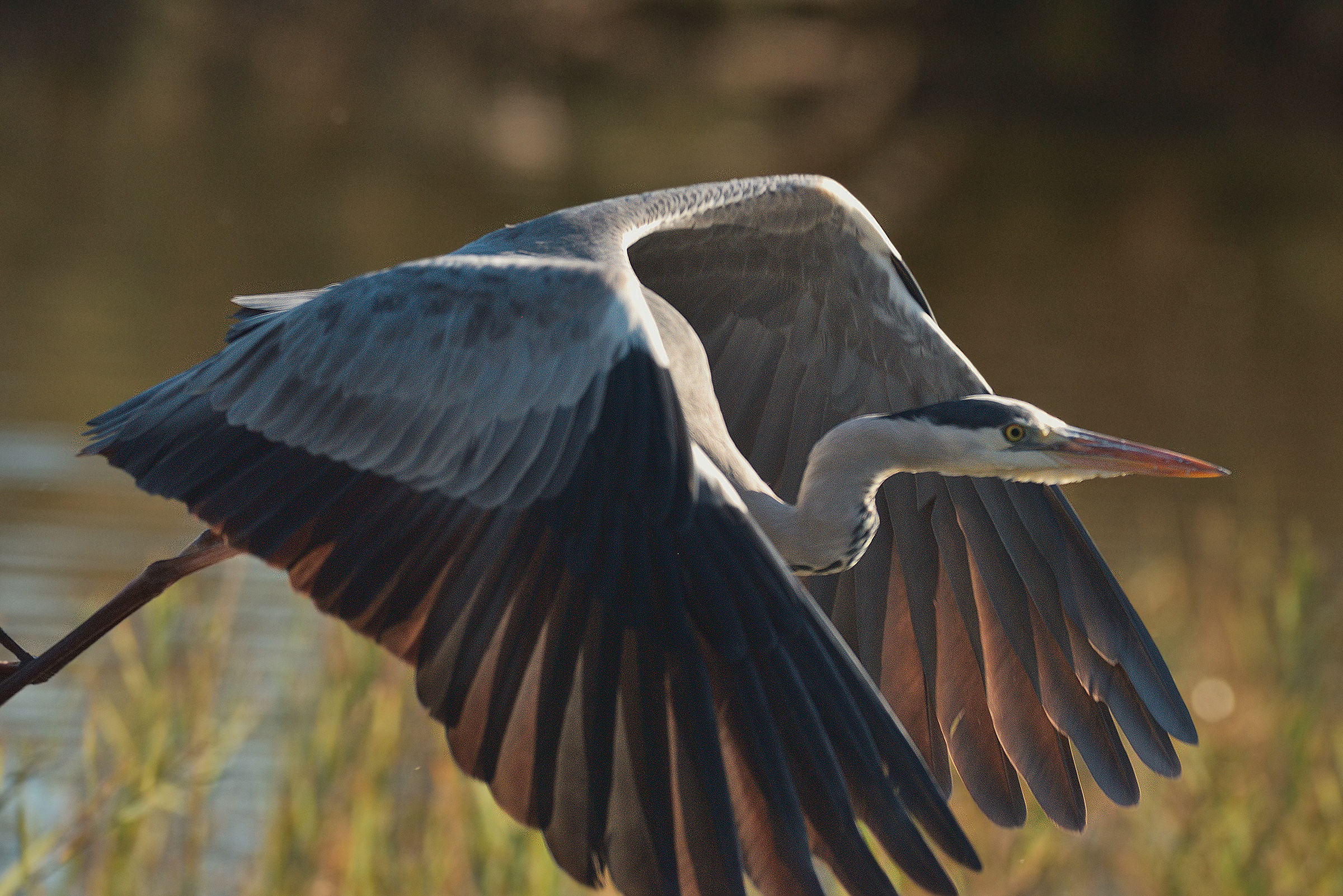 A take-off too close