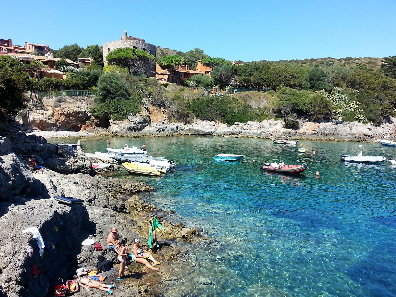 isola di Giannutri  cala Maestra
