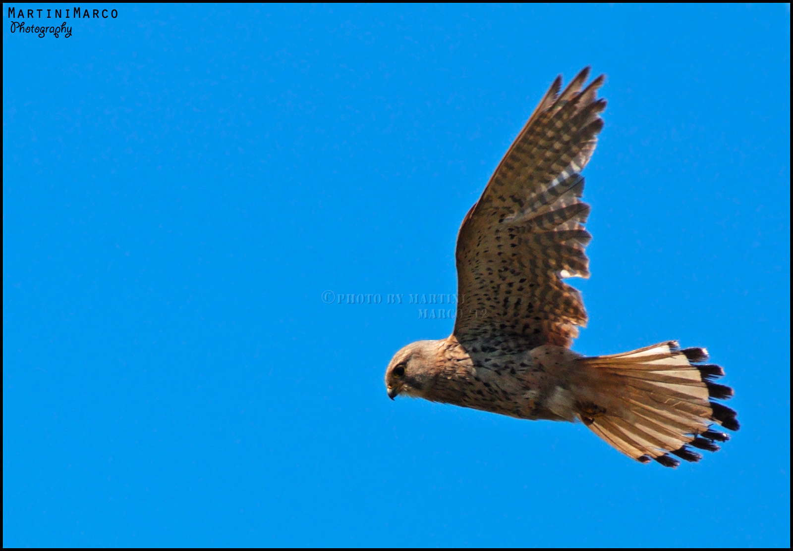 Scandaglio il terreno....
