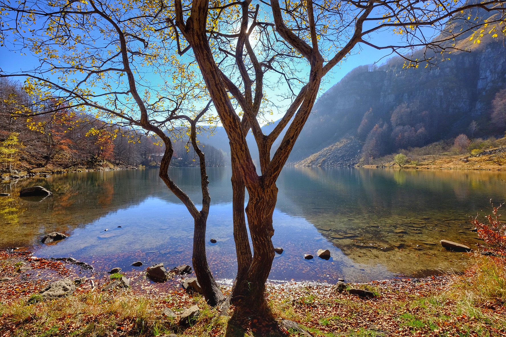 Autumn Lake Landscape