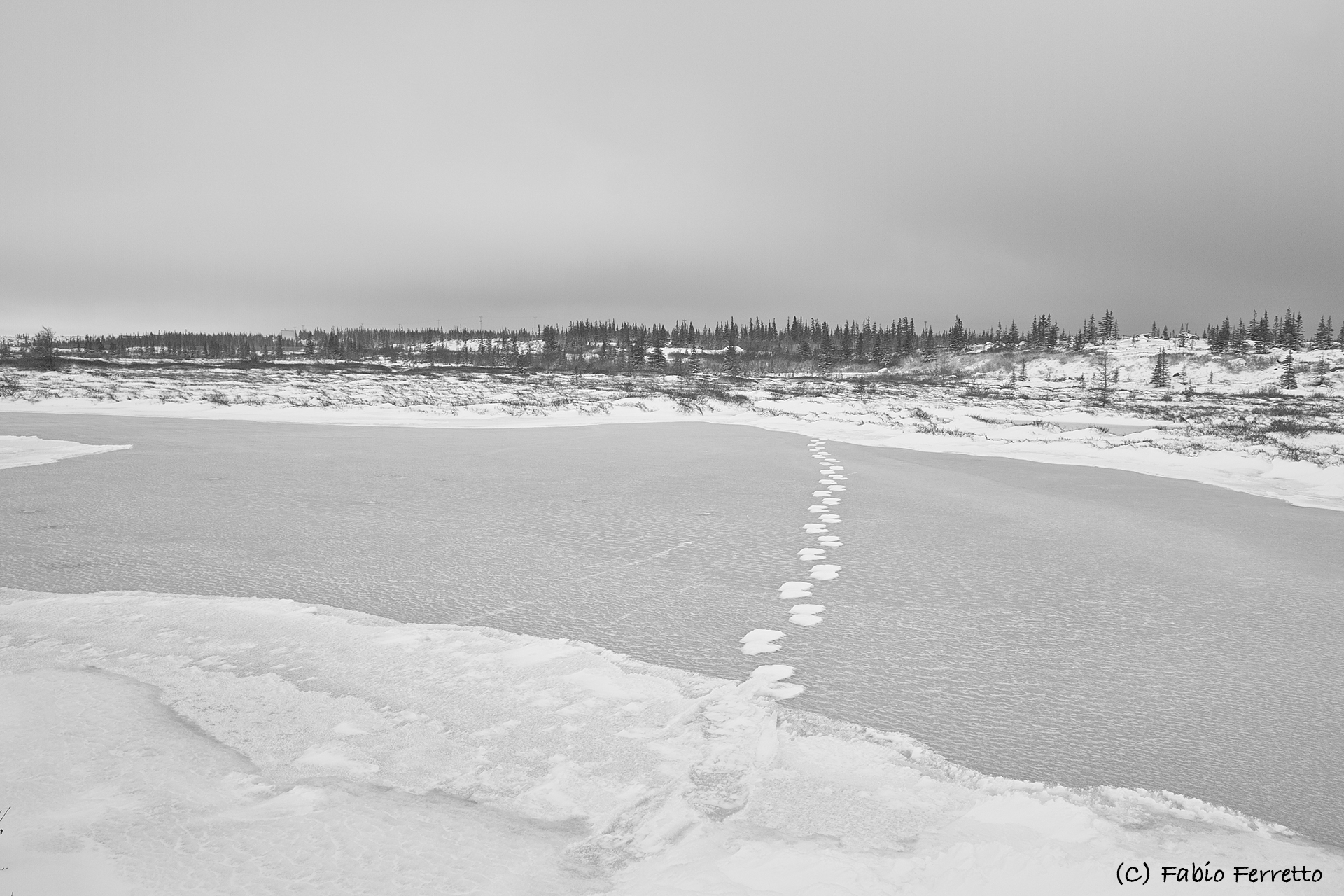 footsteps on the ice