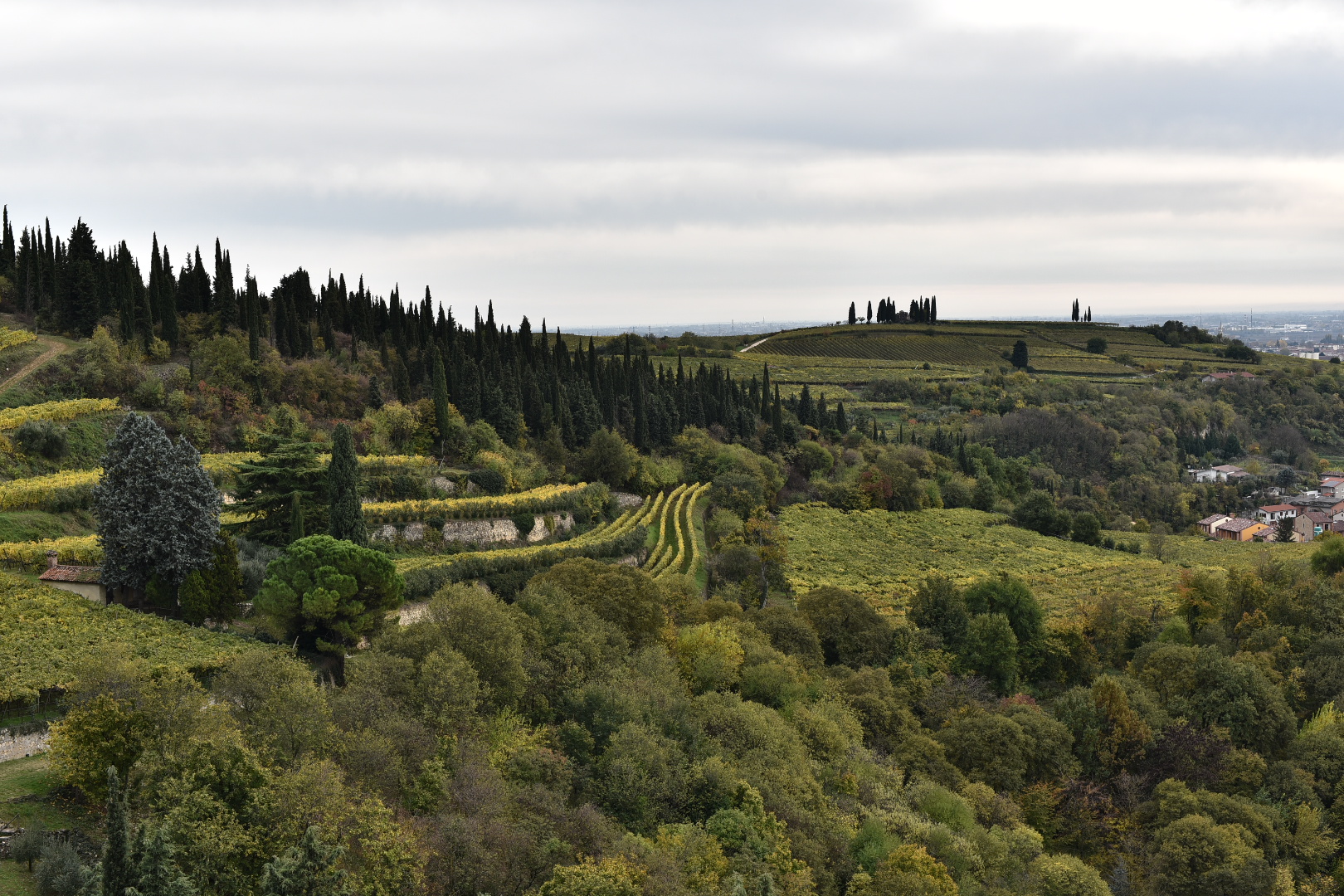 Hills of Soave