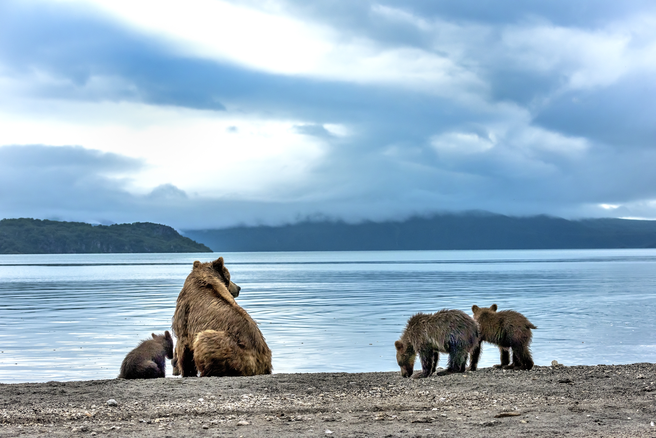 Kamchatka 2016 - Kurile lake