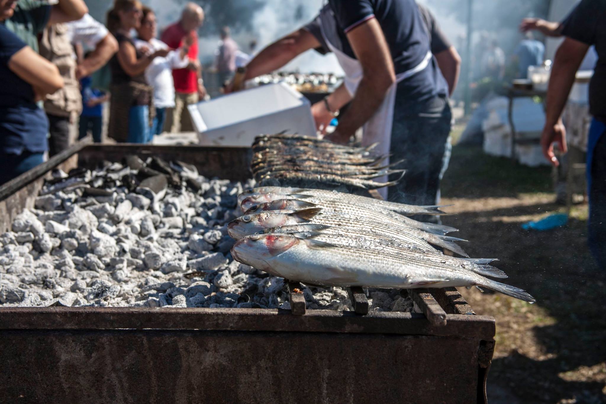 of Sant'Amatore Gesico Festival