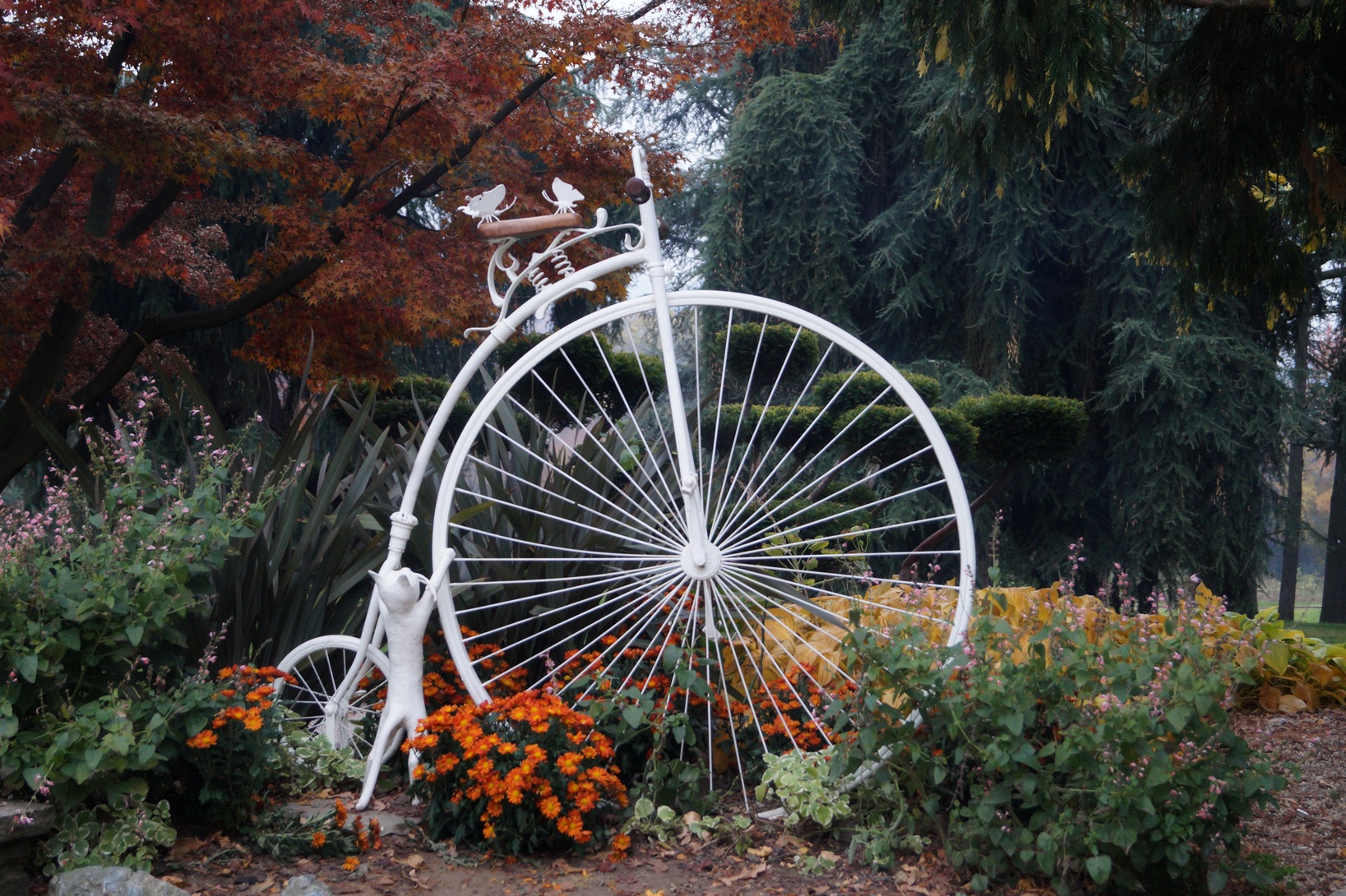 Hai voluto la bicicletta......
